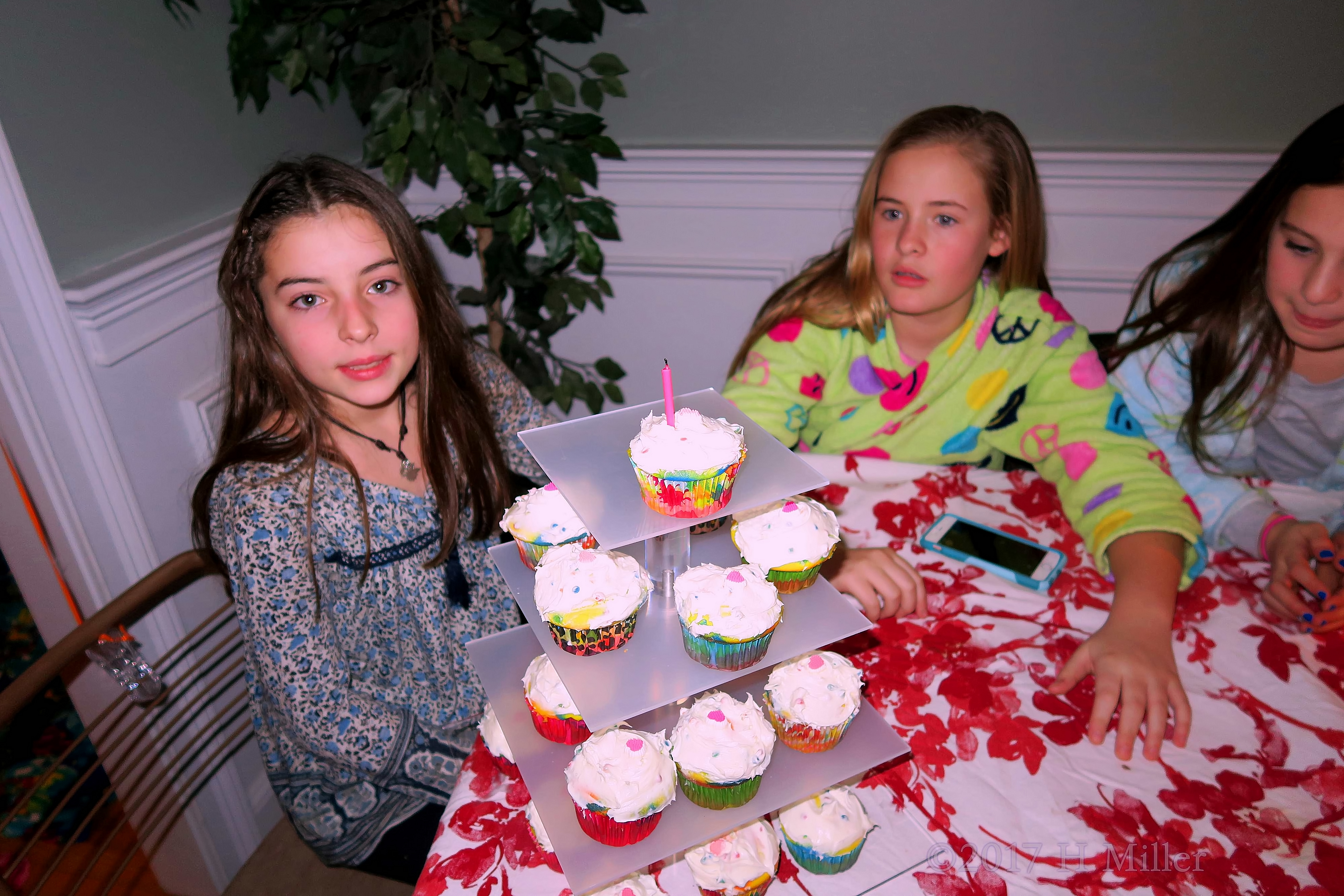 Wow! The Cupcakes Look So Yummy Wow! The Cupcakes Look So Yummy