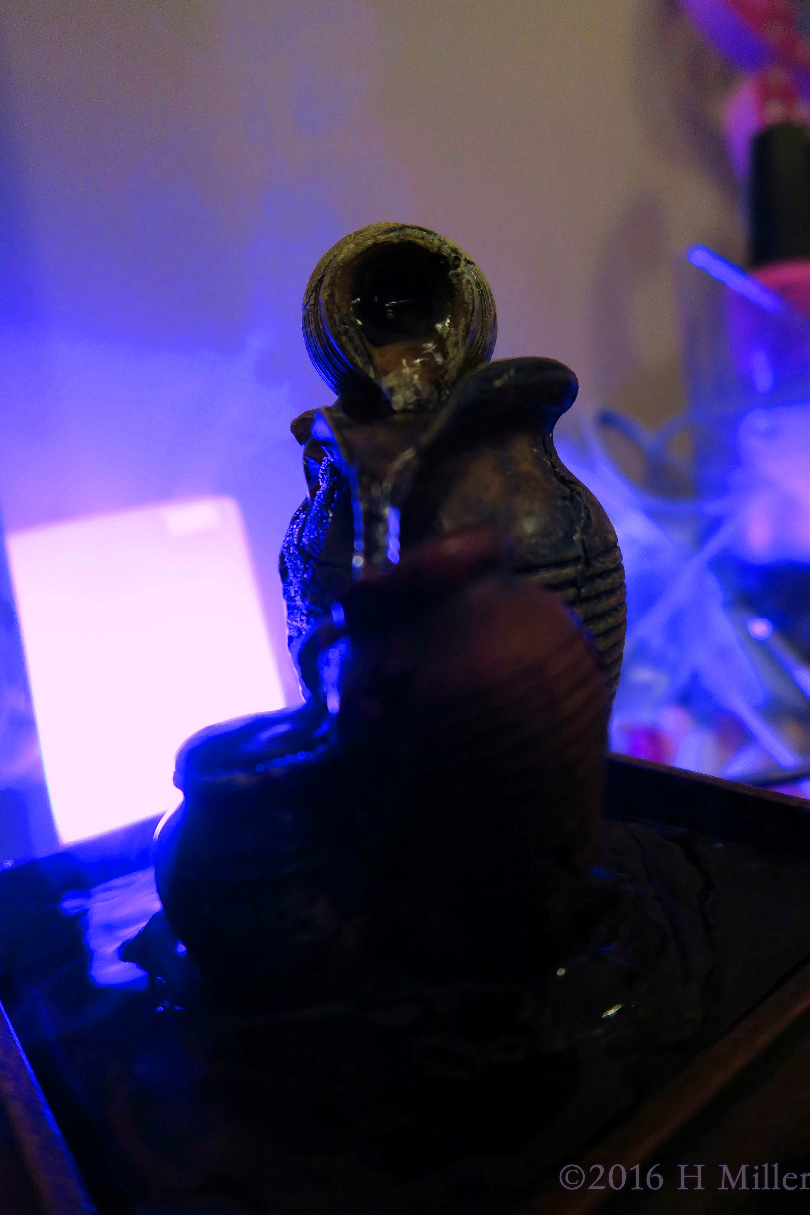 Another View Of The Kids Spa Fountain. Another View Of The Kids Spa Fountain.