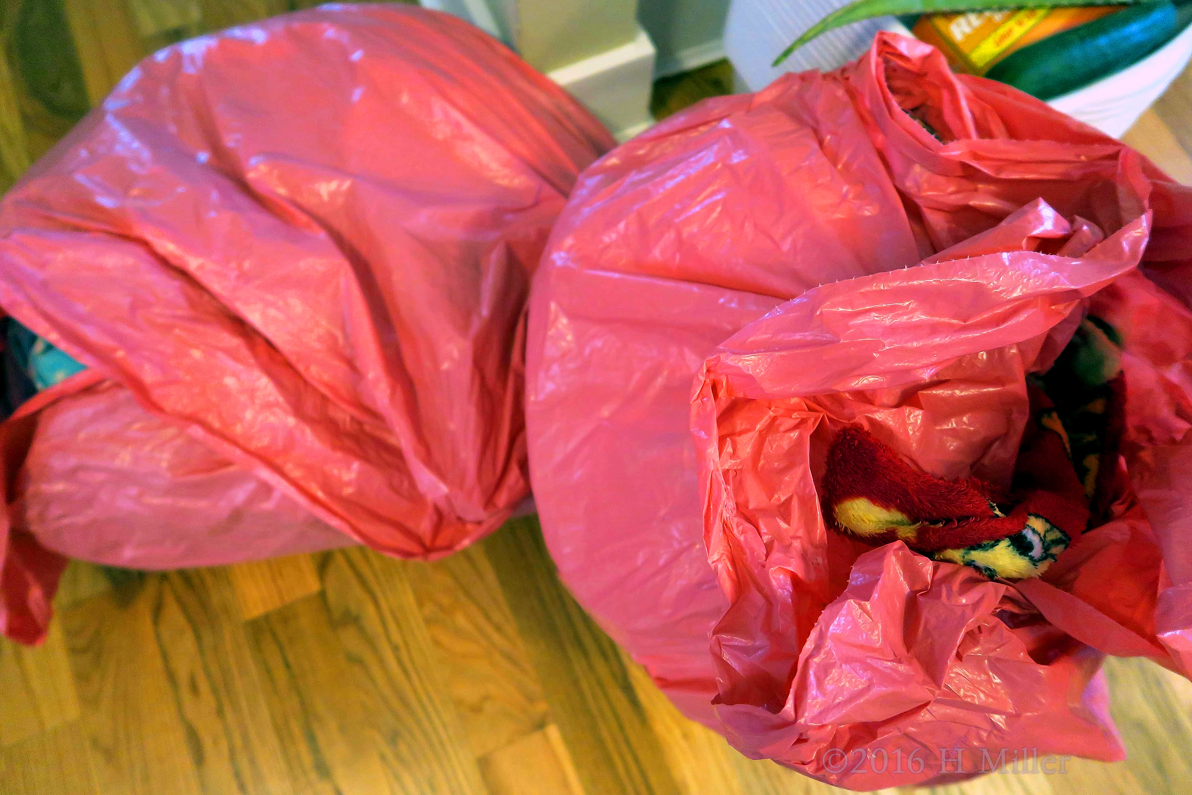 The Pink Bags With The Spa Robes For The Girls Inside! 