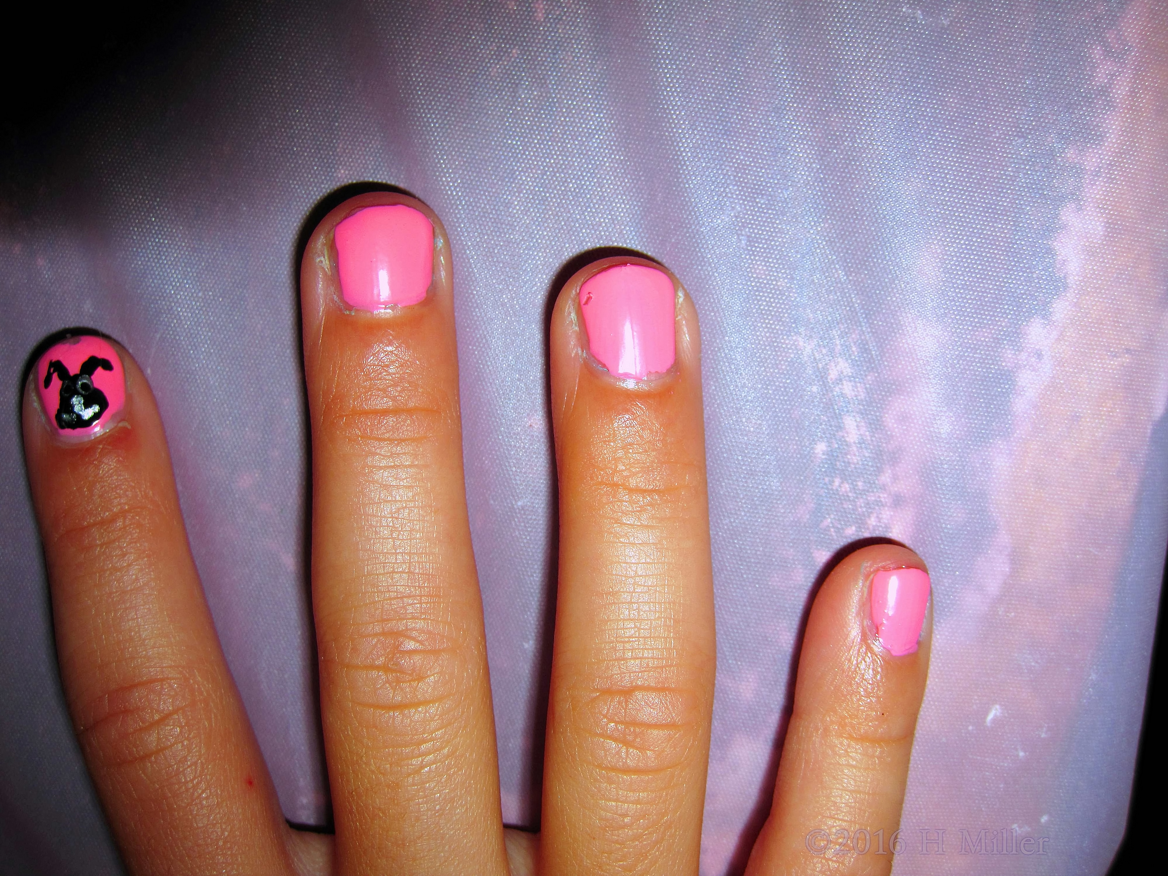 Solid Pink, Kid Friendly Dog Nail Art! Solid Pink, Kid Friendly Dog Nail Art!