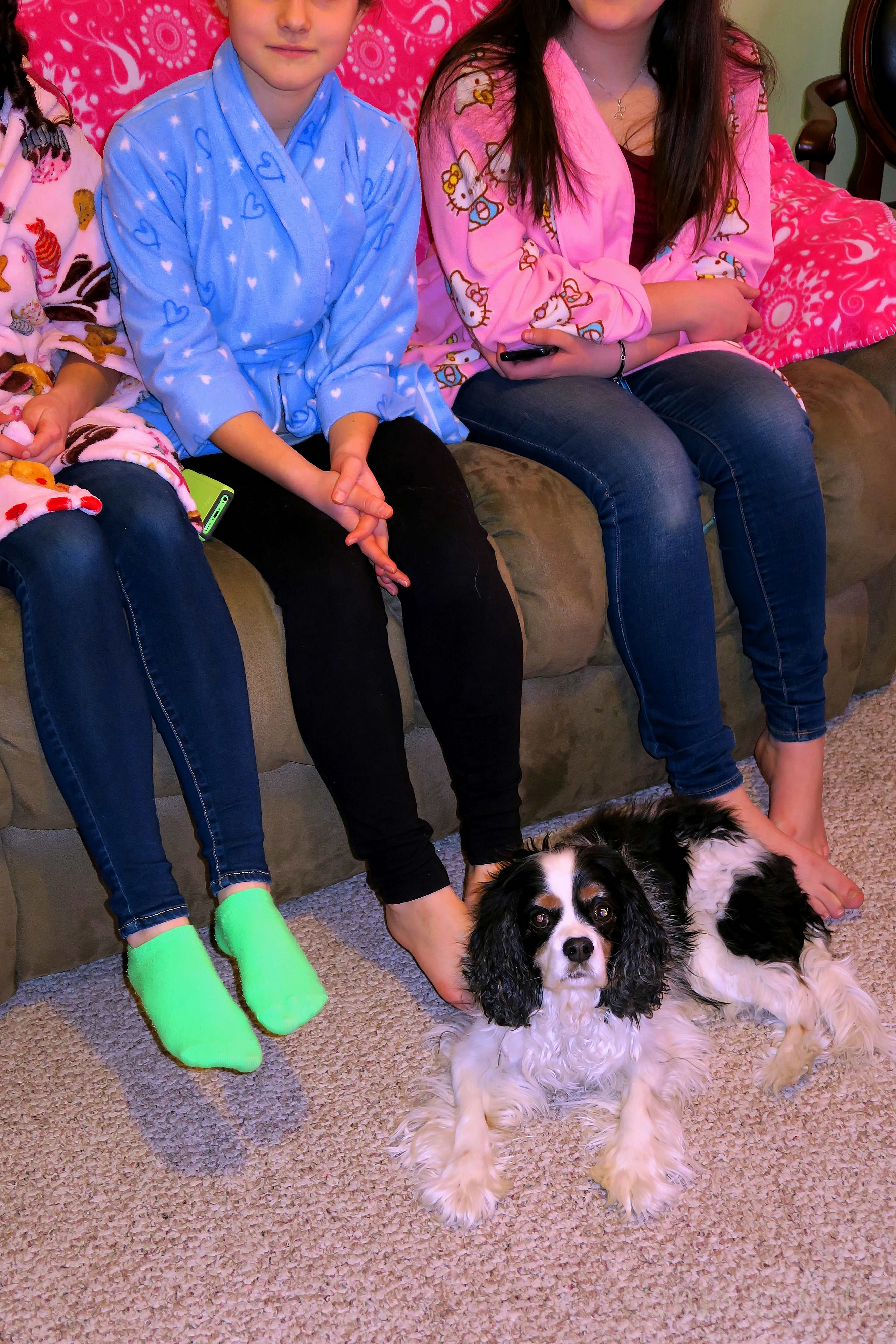 Kimmy's Dog Is So Adorable! Kimmy's Dog Is So Adorable!