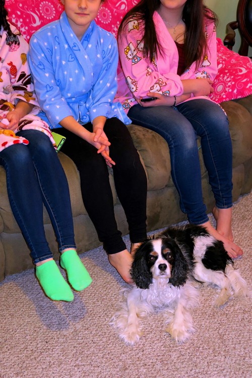 Kimmy's Dog Is So Adorable! Kimmy's Dog Is So Adorable!