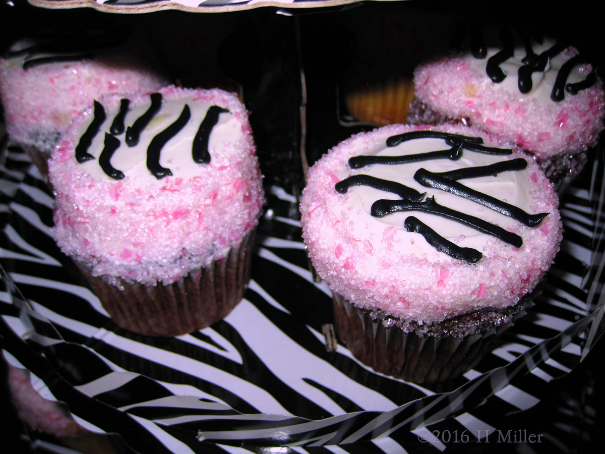 Awesome Zebra Birthday Cupcakes! 