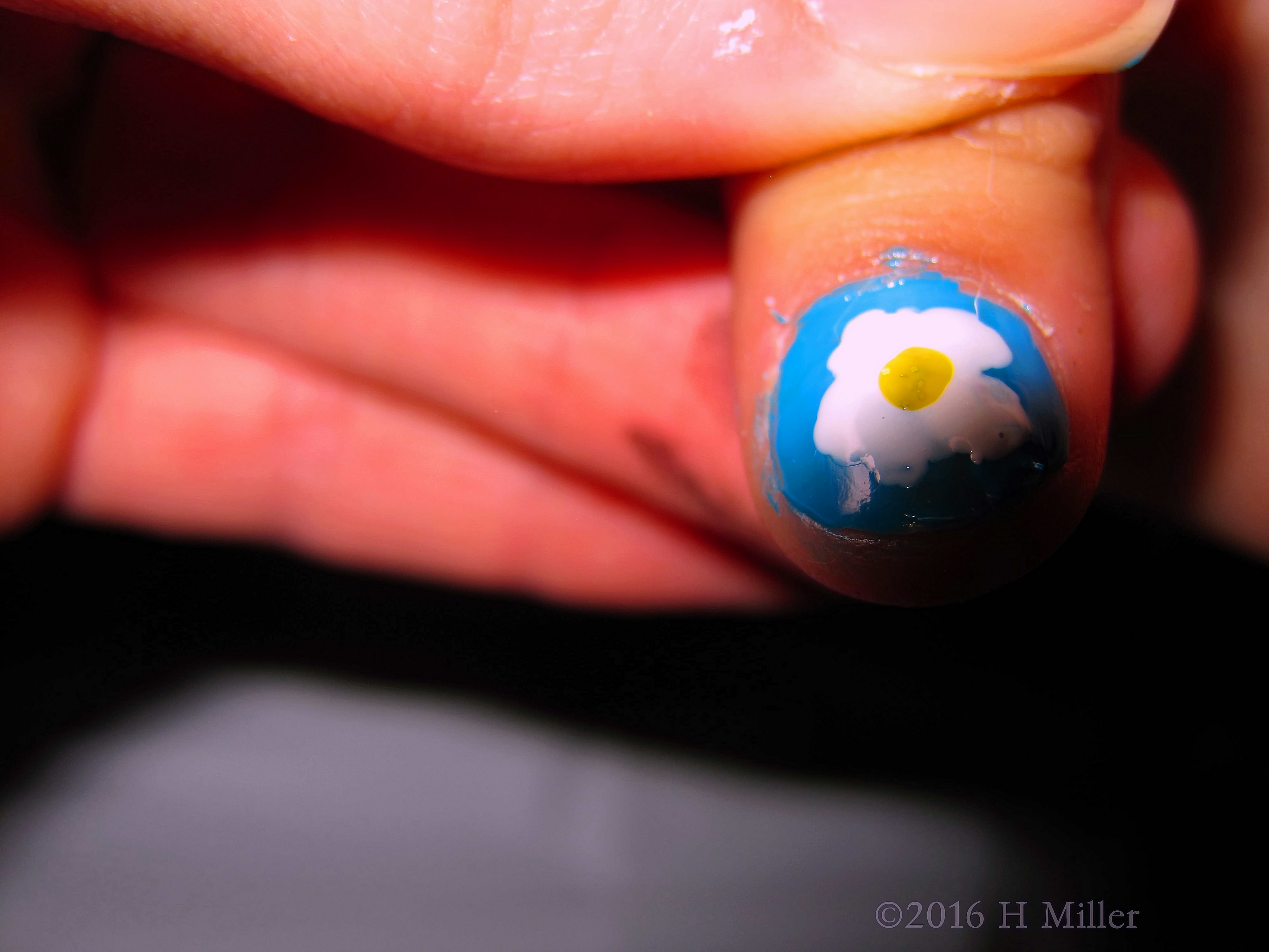 Daisy Mini Mani Daisy Mini Mani