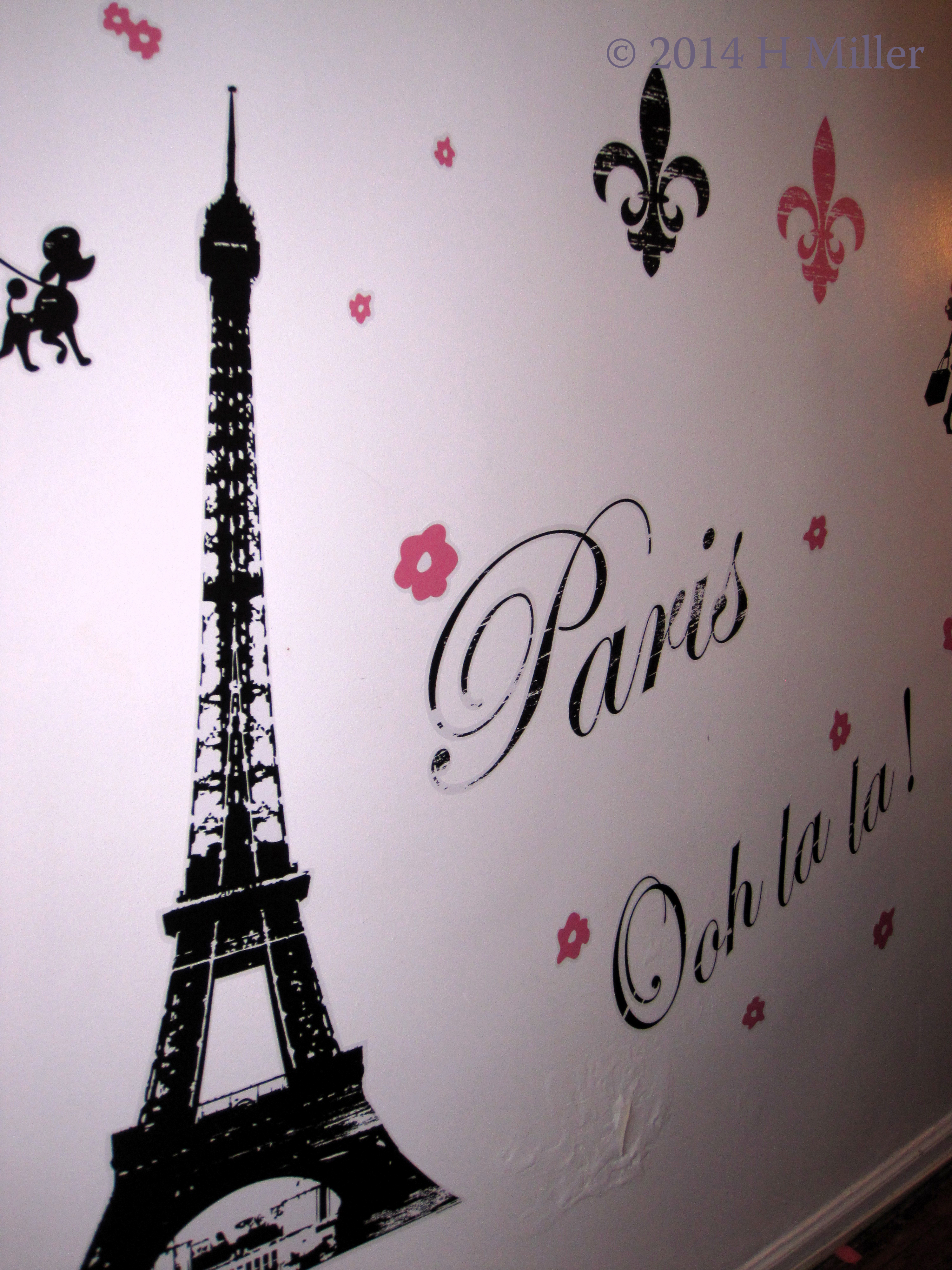 Paris Themed Spa Birthday Party!