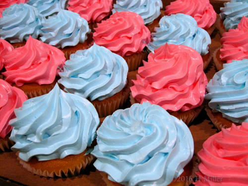 Beautiful Pink And Blue Cupcakes