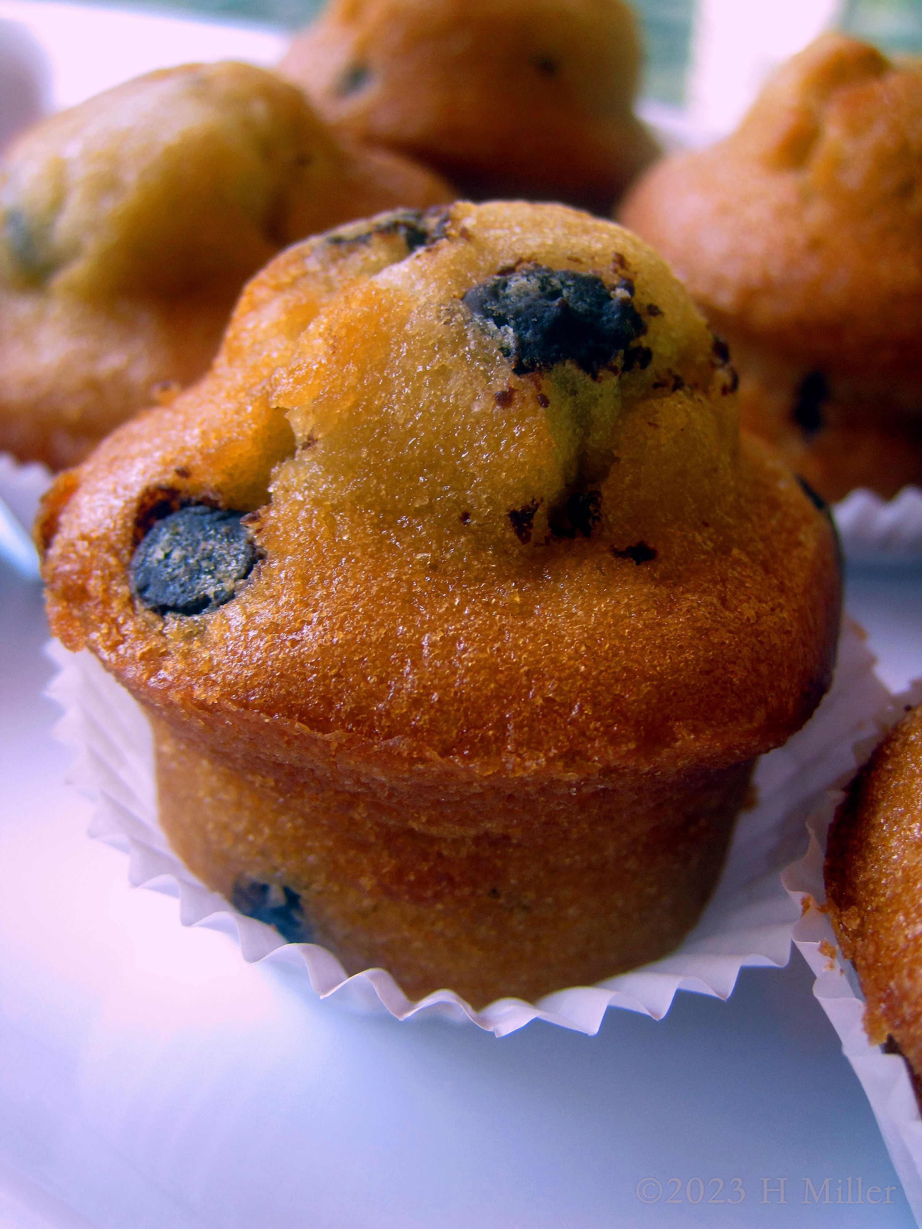 Laura's 9th Kids Spa Birthday Party Laura's 9th Kids Spa Birthday Party