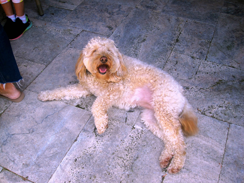 Laura's 9th Kids Spa Birthday Party Laura's 9th Kids Spa Birthday Party