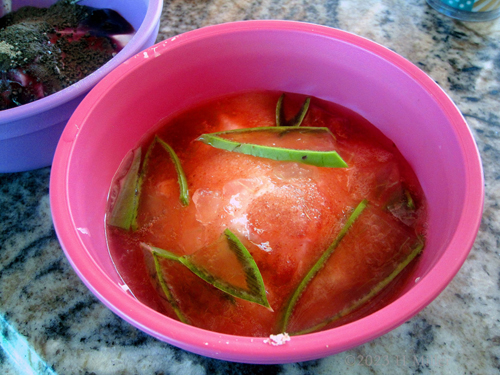 Laura's 9th Kids Spa Birthday Party Laura's 9th Kids Spa Birthday Party