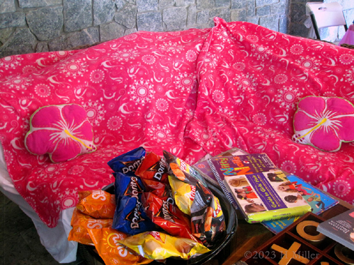 Laura's 9th Kids Spa Birthday Part Laura's 9th Kids Spa Birthday Part