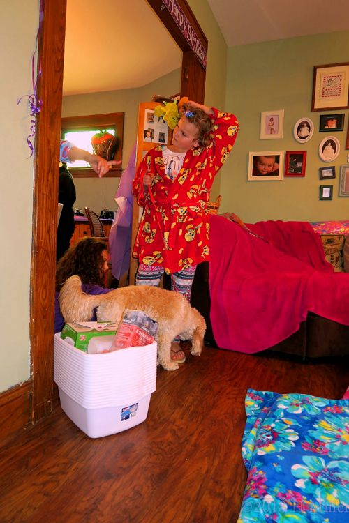 Dog Chilling With Maddie. Dog Chilling With Maddie.