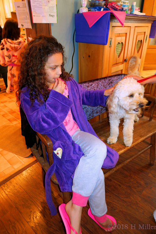 Fluffy Puppy!!! Fluffy Puppy!!!