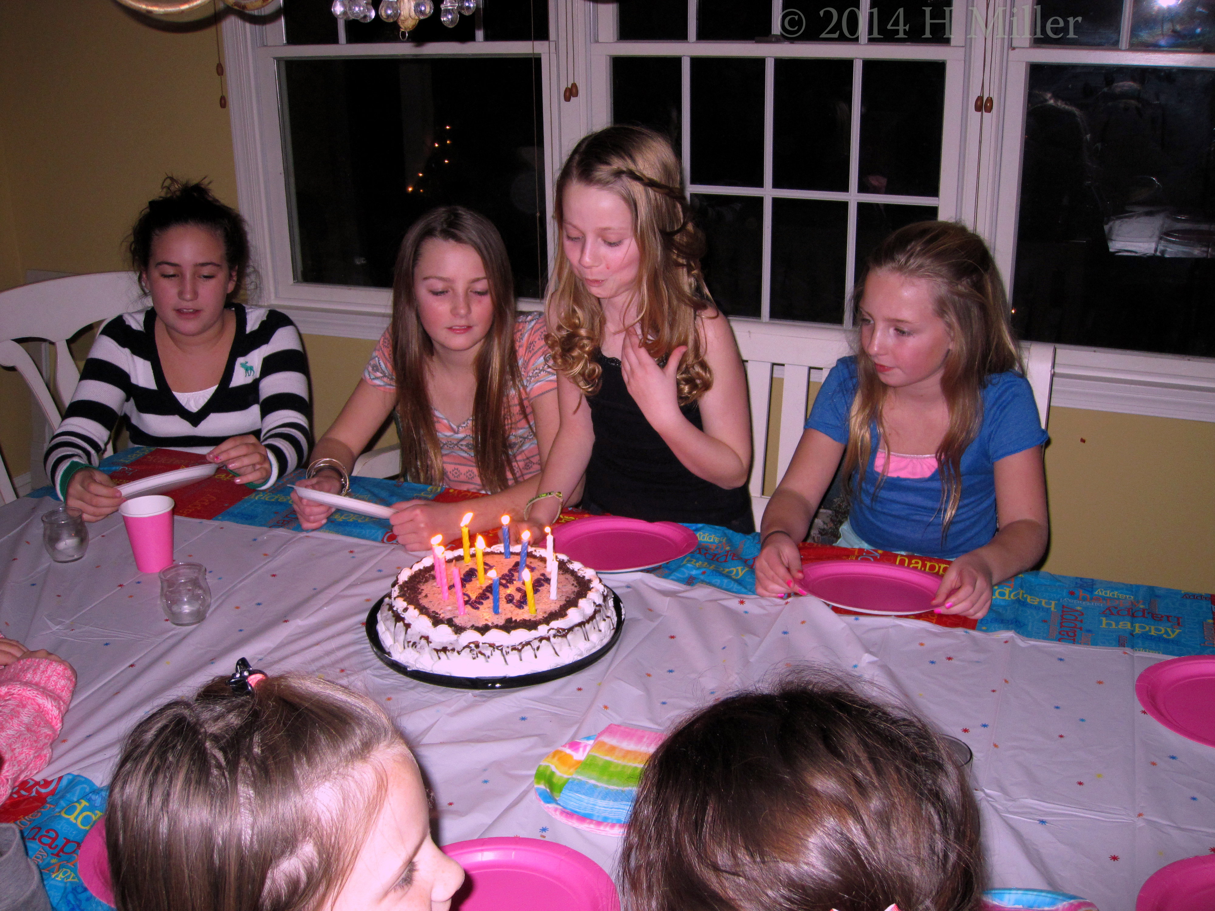 The Birthday Girl Making A Wish The Birthday Girl Making A Wish