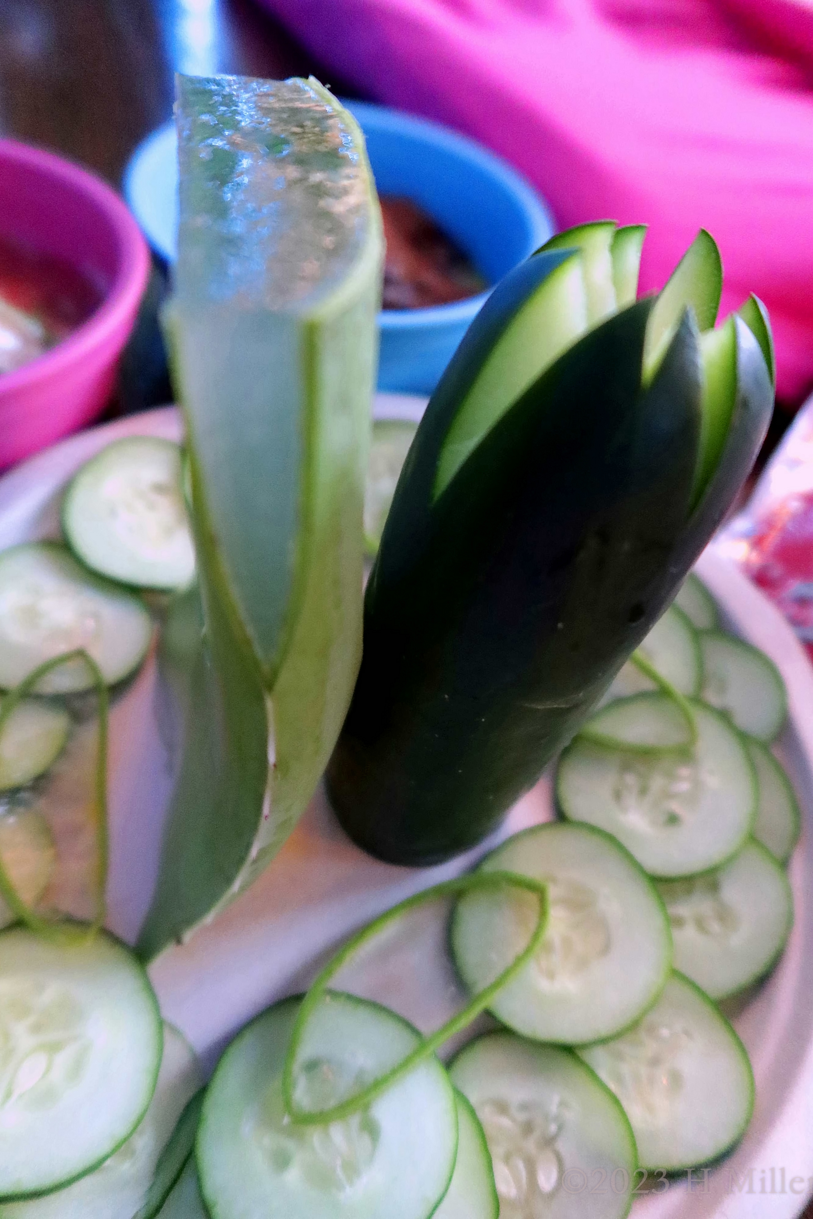 Milania's 11th Kids Spa Birthday Party Milania's 11th Kids Spa Birthday Party