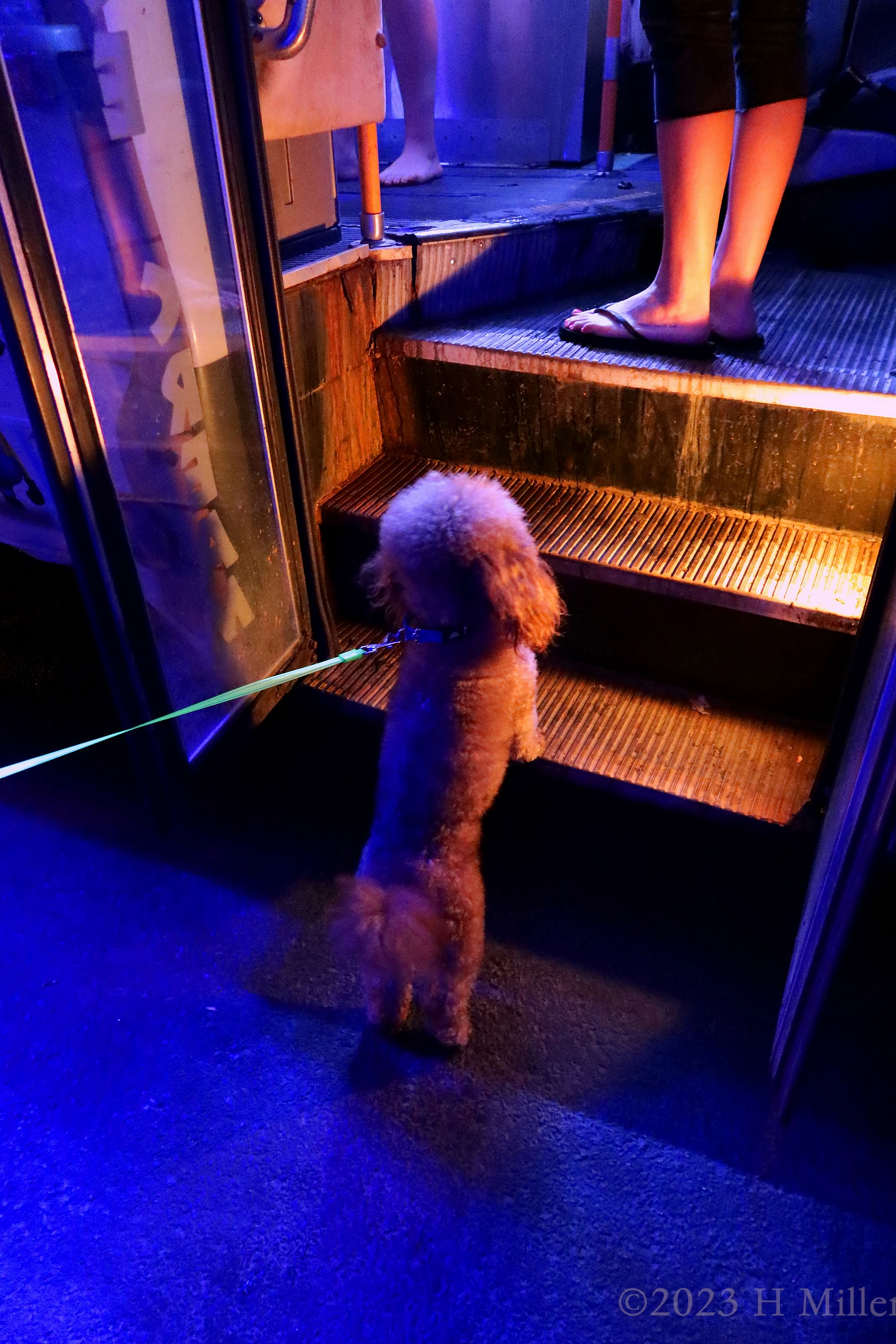 Milania's 11th Kids Spa Birthday Party Milania's 11th Kids Spa Birthday Party