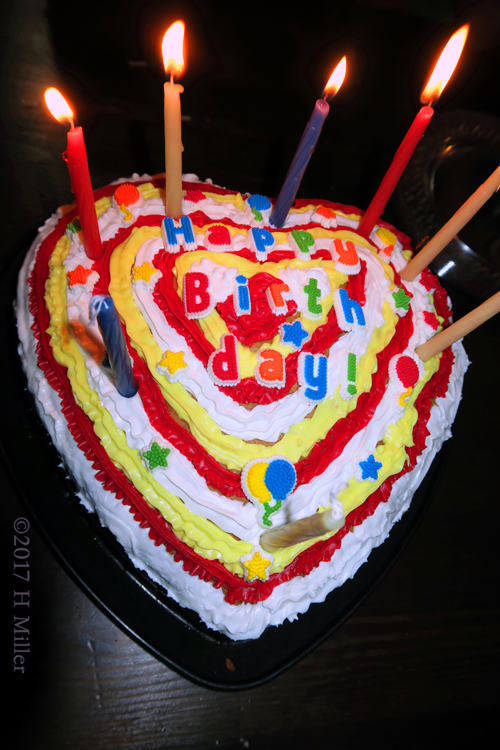 Neharika's Gorgeous Birthday Cake!