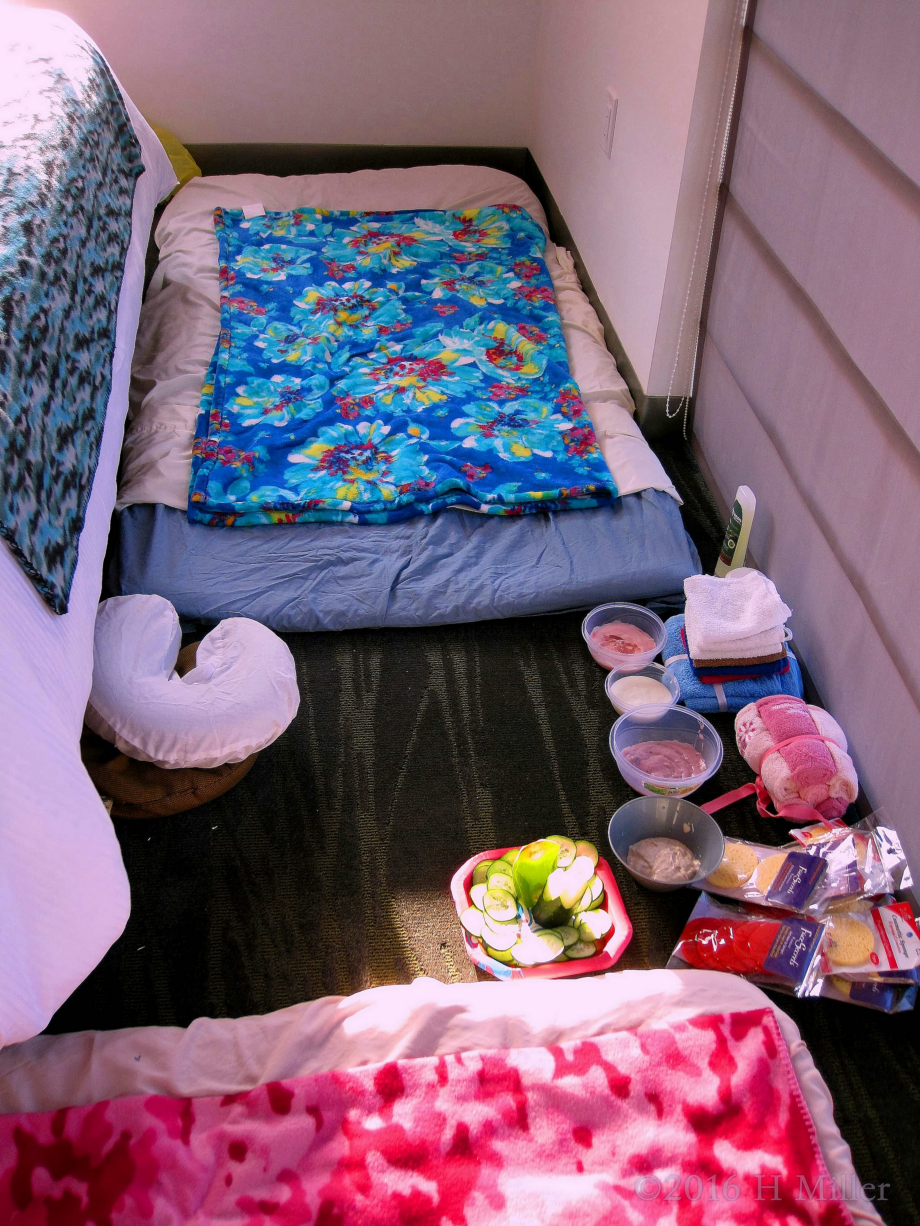 Facial Ingredients For The Girls Spa Party. Facial Ingredients For The Girls Spa Party.