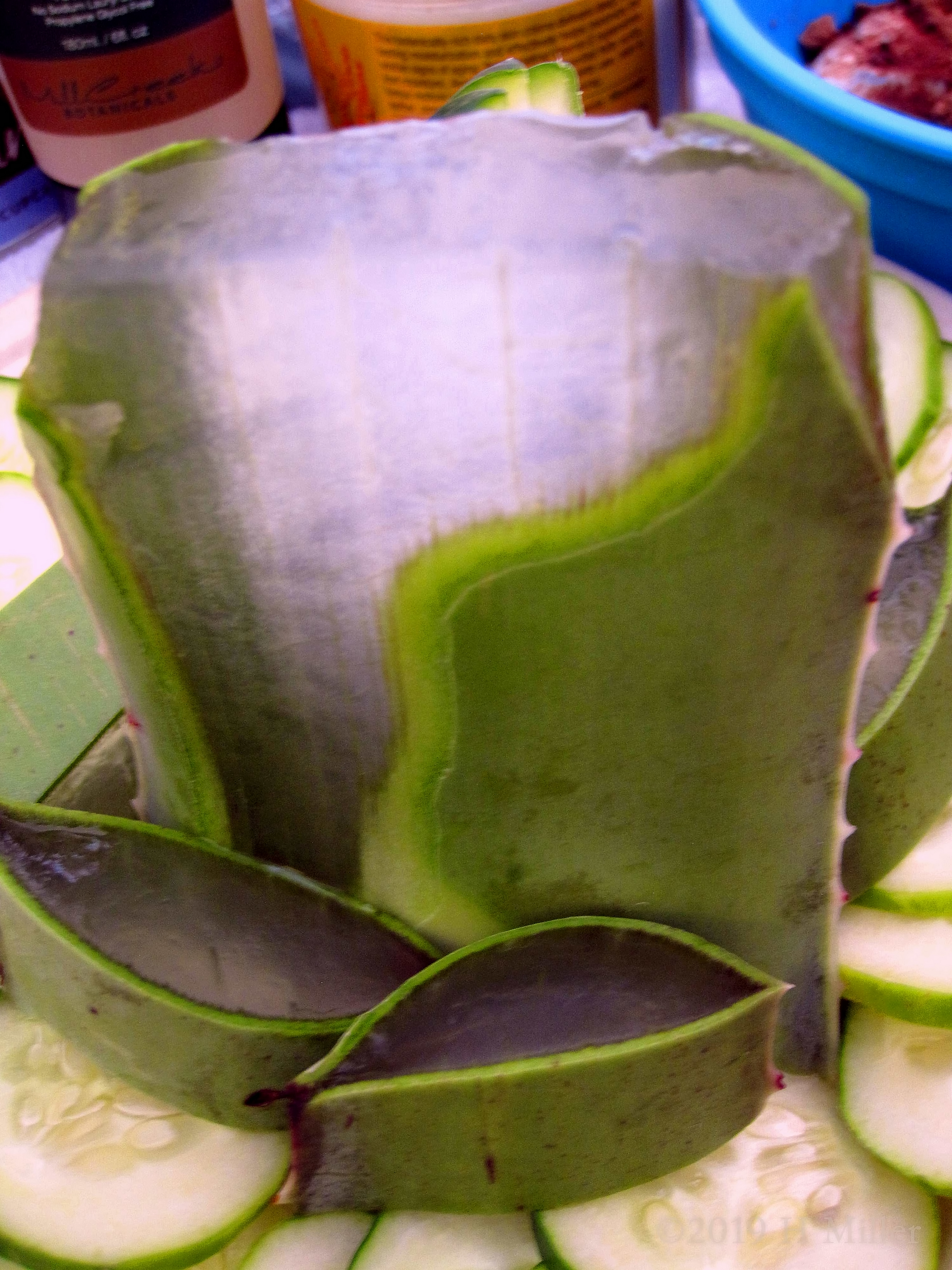 Spa Birthday Party For Girls For Nicole And Michelle At Home In New Jersey Spa Birthday Party For Girls For Nicole And Michelle At Home In New Jersey