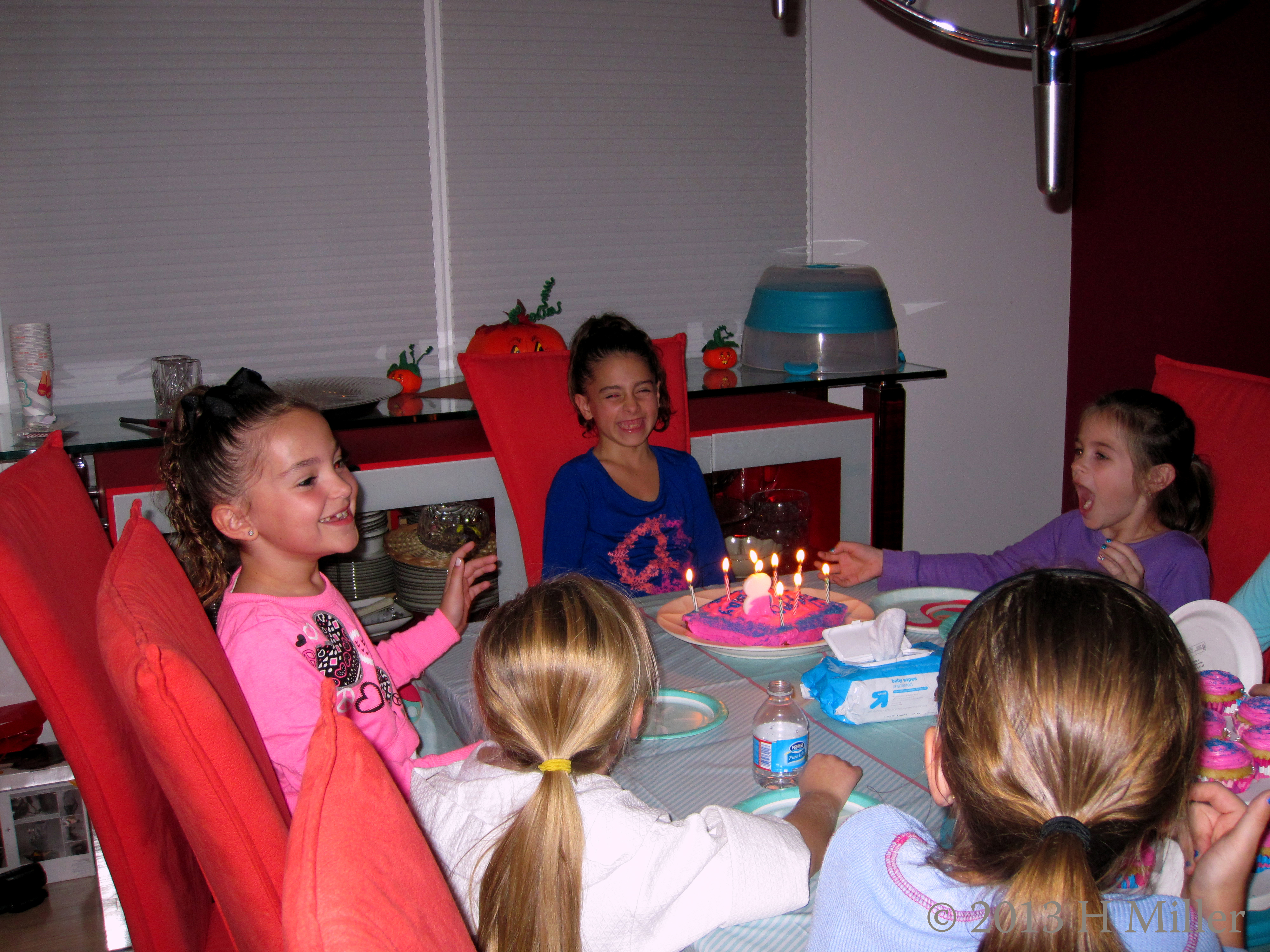 Nina Ready For Her 8th Birthday Cake Nina Ready For Her 8th Birthday Cake