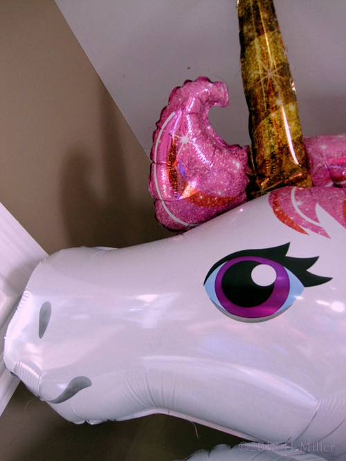 Unicorn Balloon Zoomed In! Unicorn Balloon Zoomed In!