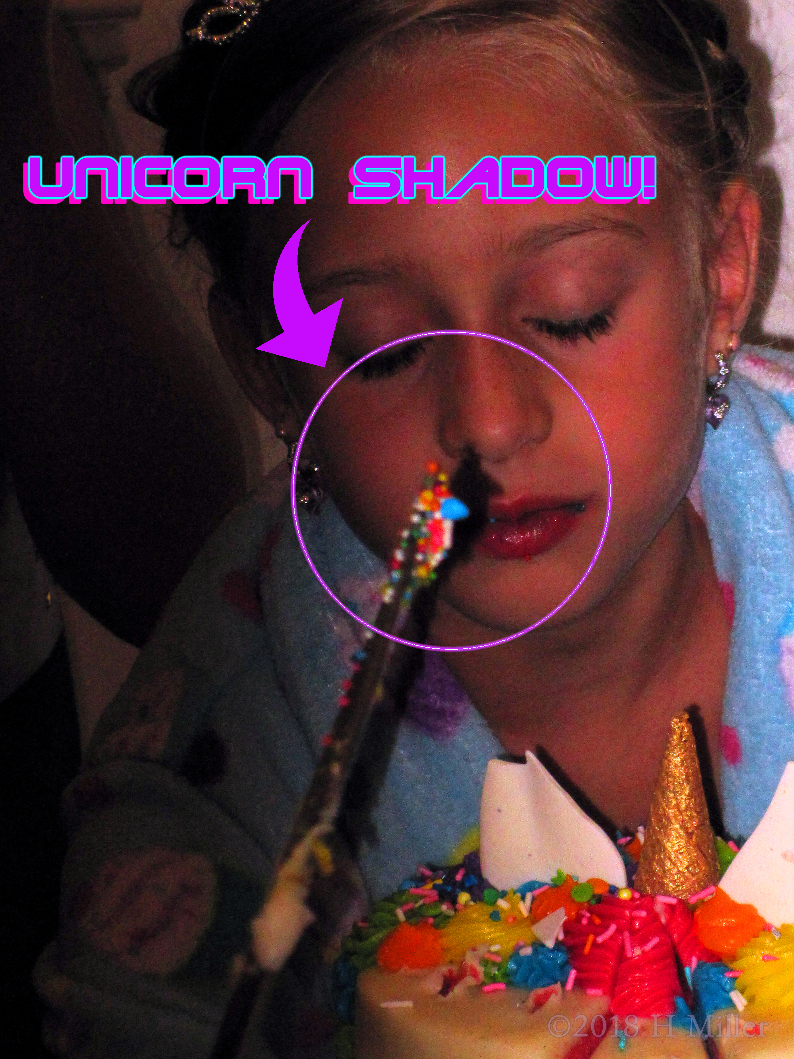 Beautiful Picture With The Unicorn Shadow On The Birthday Girl's Face! 