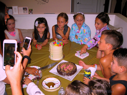 All Party Guests Sitting Round The Birthday Cake Table For Olivia's Birthday Celebration.