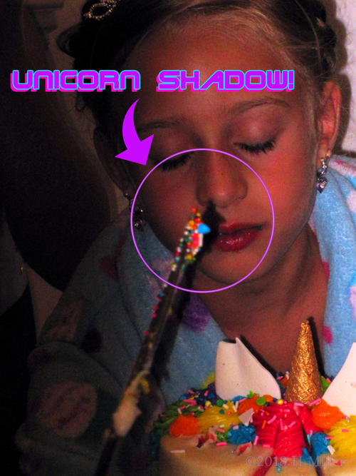 Beautiful Picture With The Unicorn Shadow On The Birthday Girl's Face!