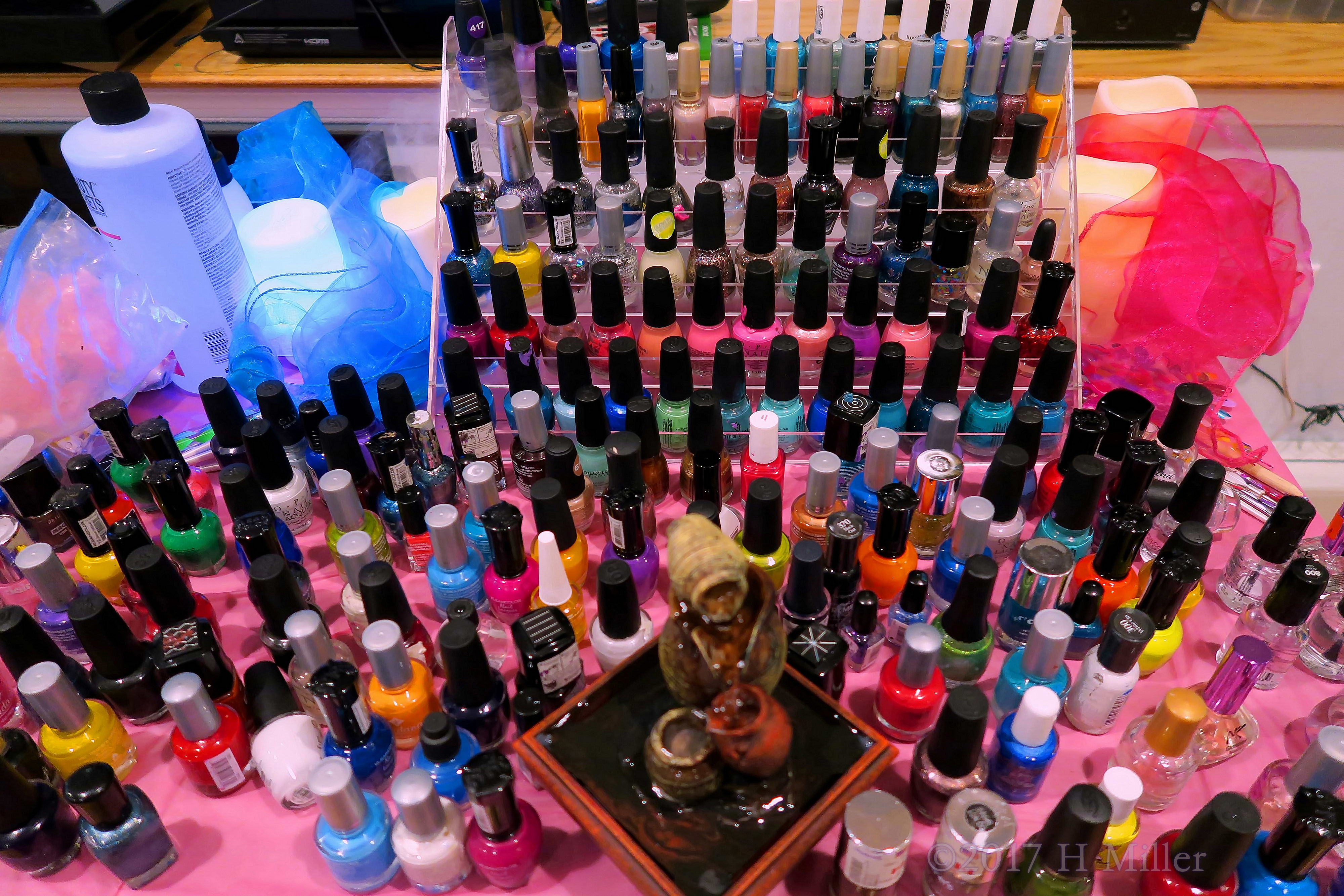 There Are Too Many To Choose Just One! There Are Too Many To Choose Just One!