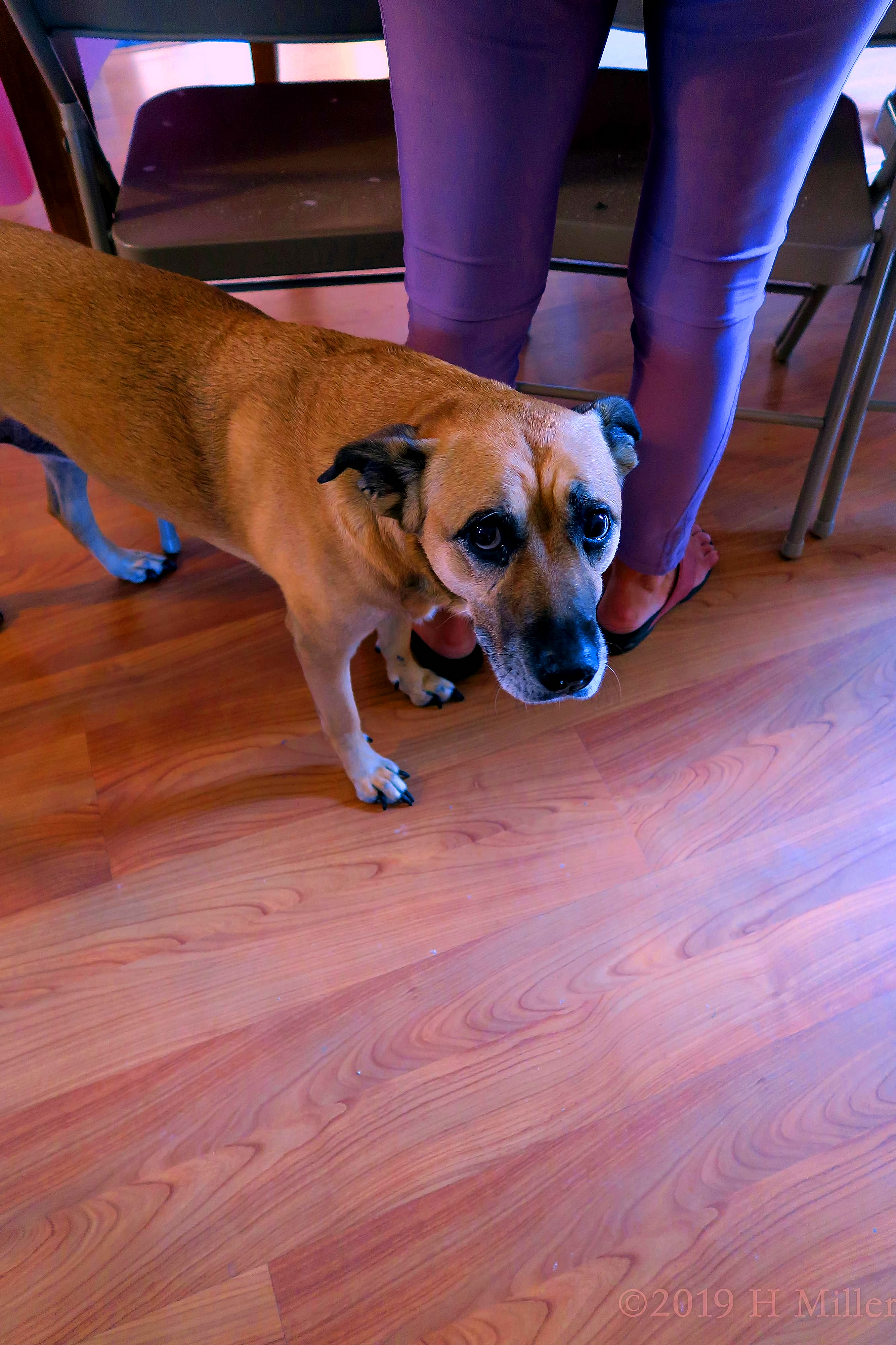 Spa Party For Girls For Peyton In 2019 Spa Party For Girls For Peyton In 2019