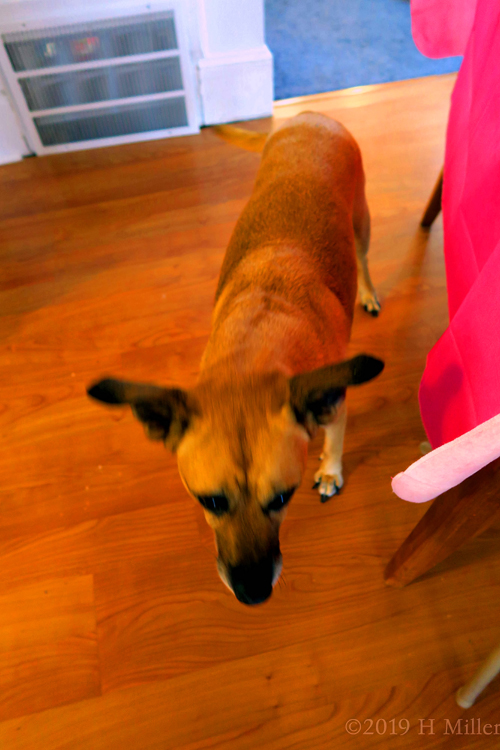 Spa Party For Girls For Peyton In 2019 Spa Party For Girls For Peyton In 2019