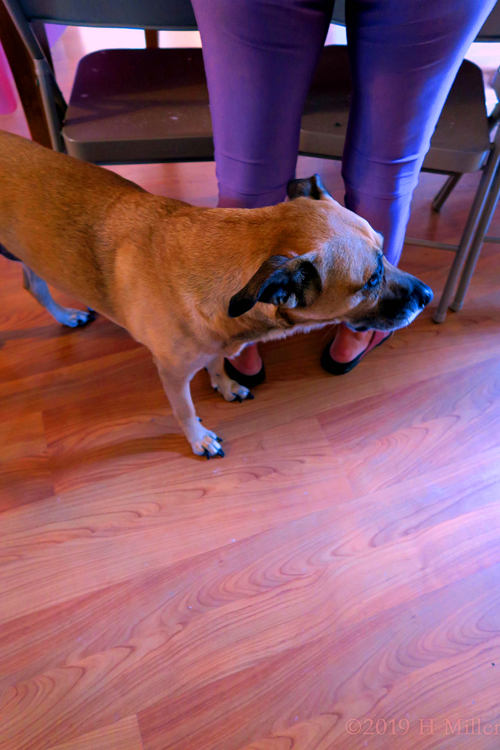 Spa Party For Girls For Peyton In 2019 Spa Party For Girls For Peyton In 2019