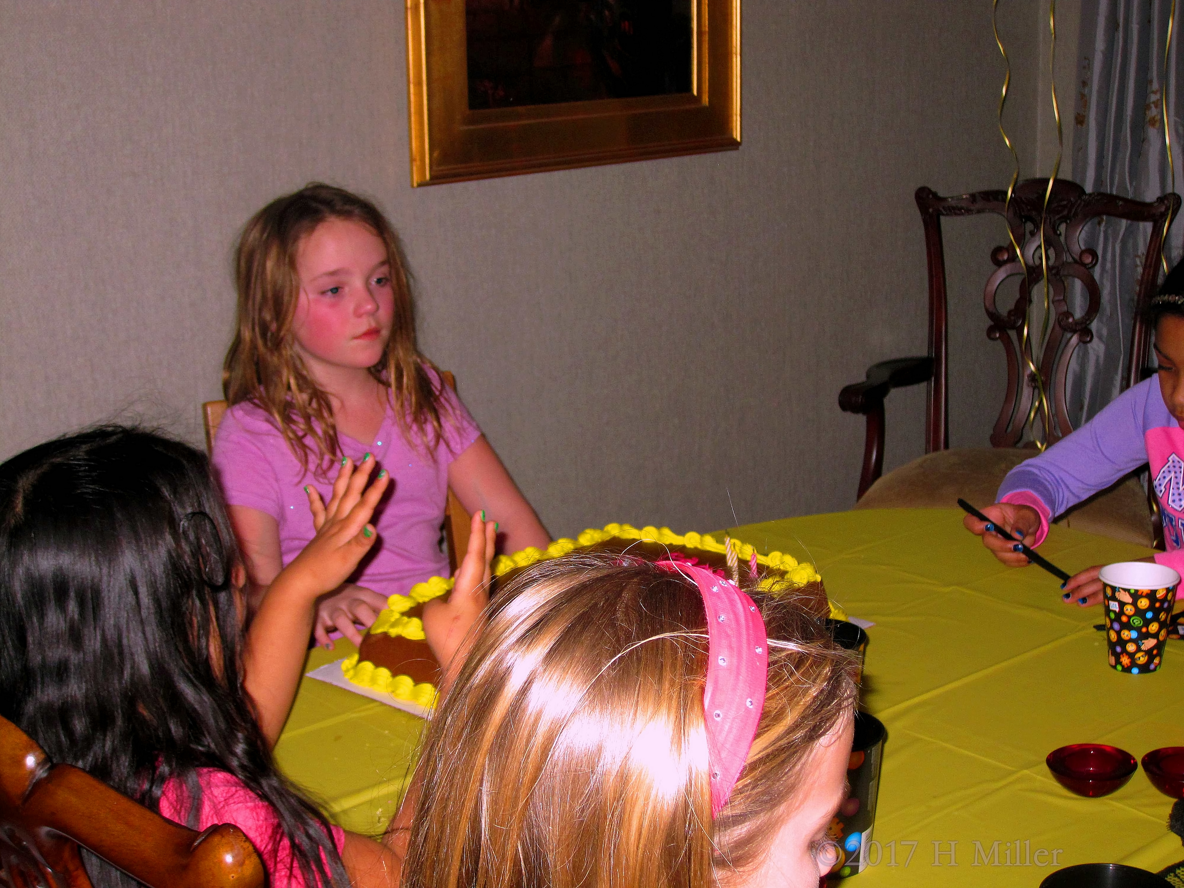 Getting Ready To Blow Out The Birthday Candles Getting Ready To Blow Out The Birthday Candles