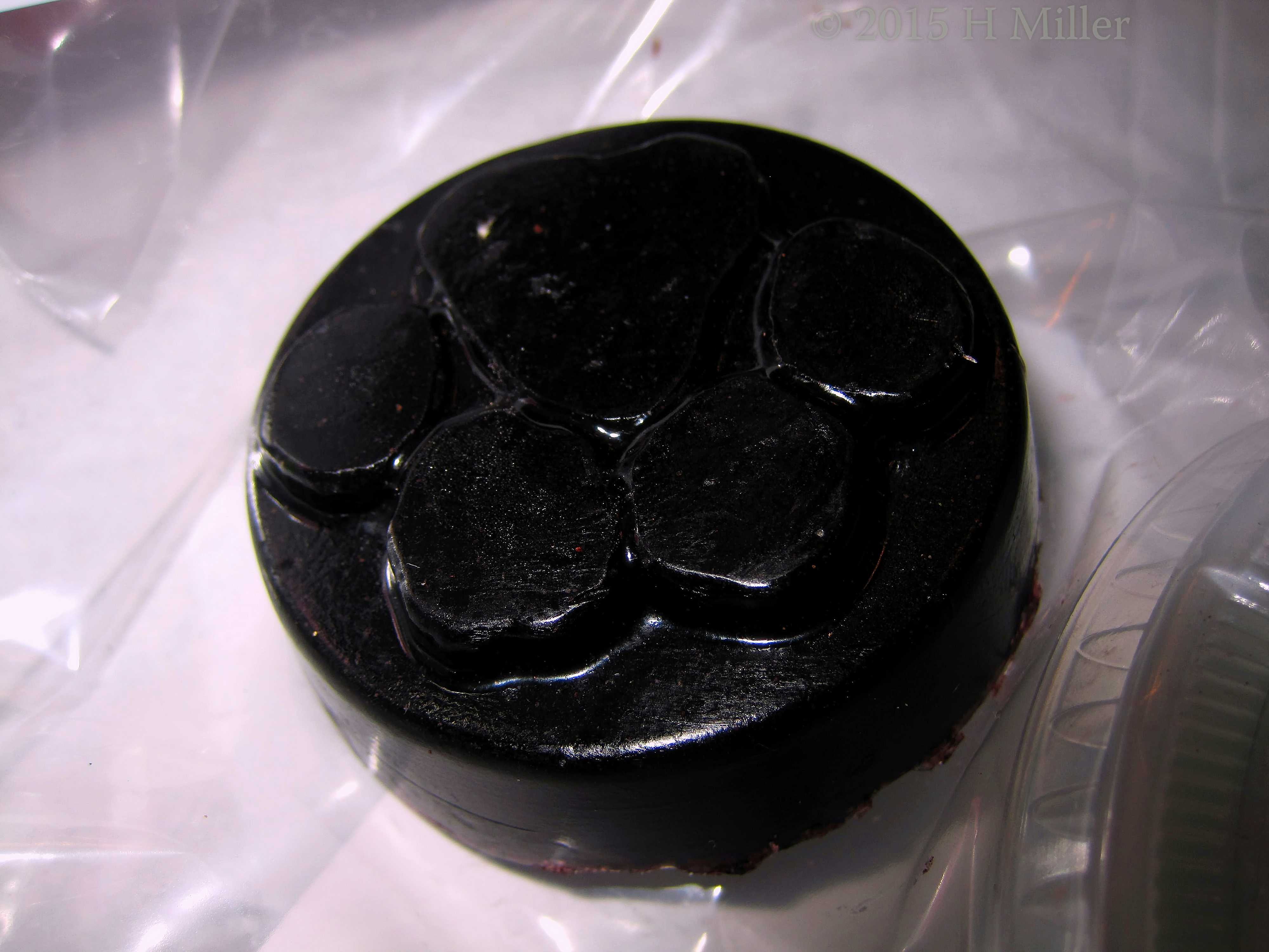 A Pawprint Soap One Of The Girls Made. A Pawprint Soap One Of The Girls Made.