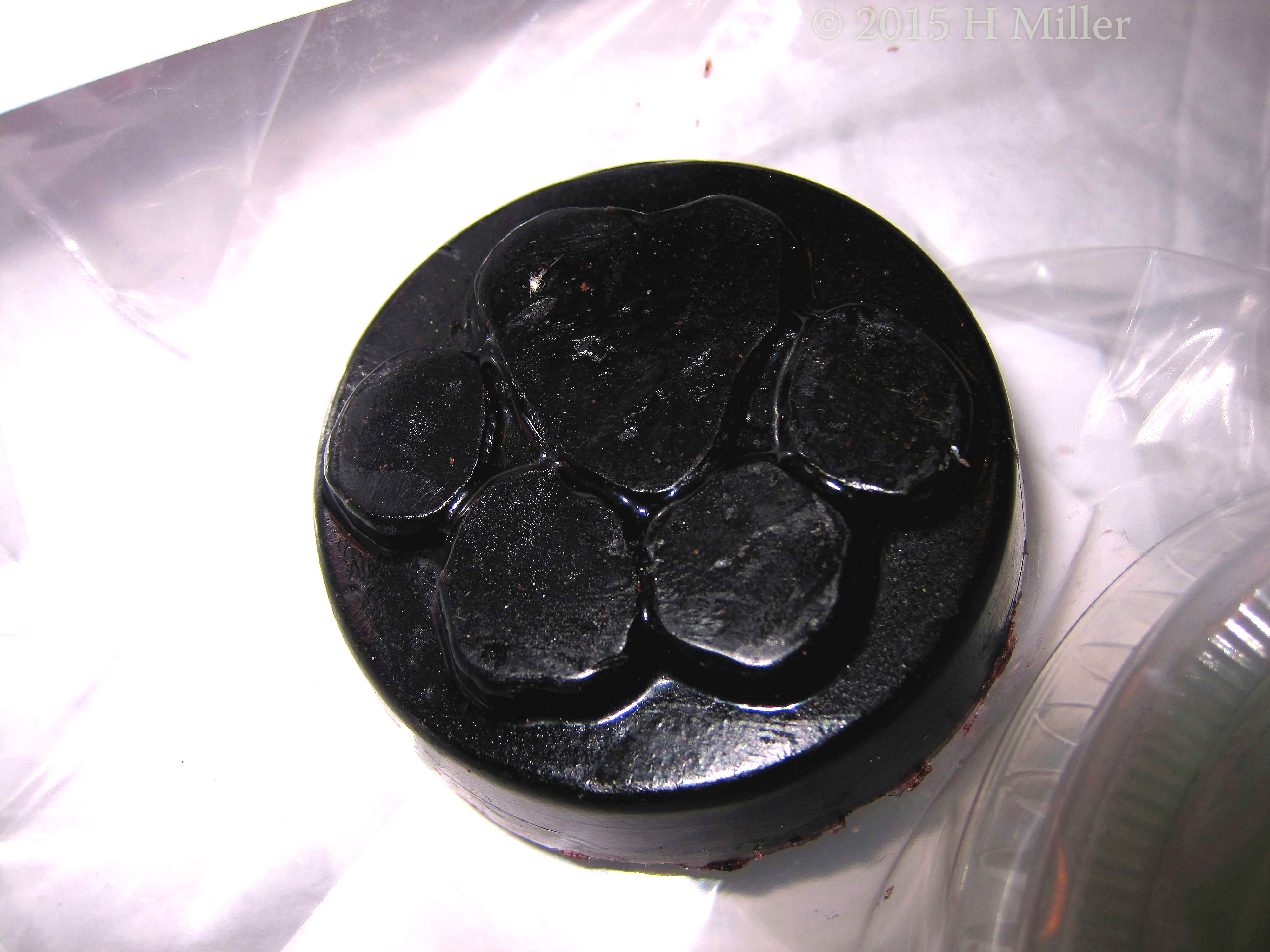 Cool Pawprint Soap From Our Spa Birthday Party. Cool Pawprint Soap From Our Spa Birthday Party.