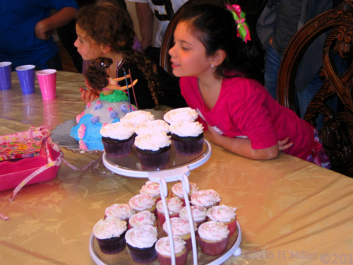 Yummy Chocolate Cupcakes Set On Pretty Trays Yummy Chocolate Cupcakes Set On Pretty Trays