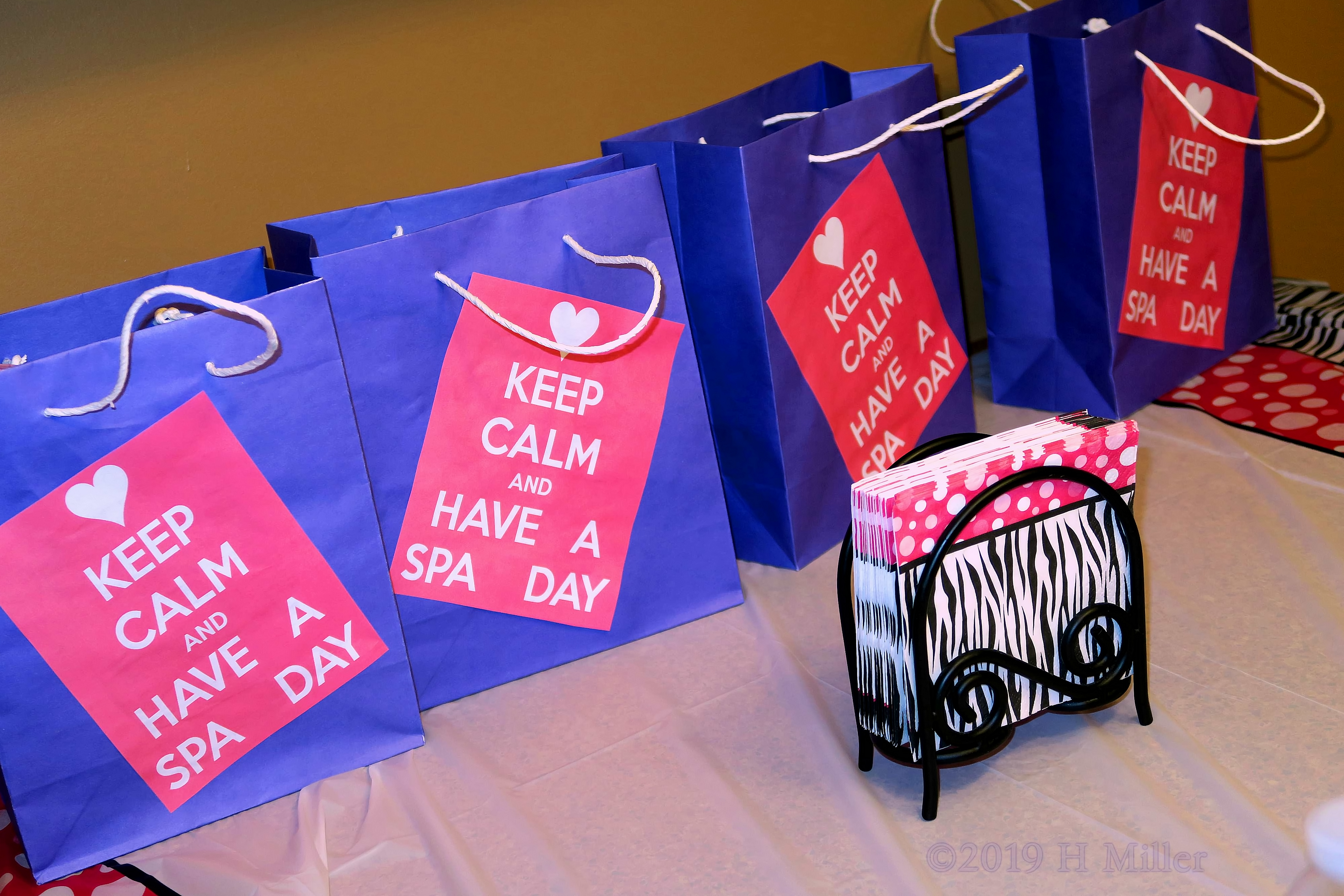 Cute Spa Gift Bags 