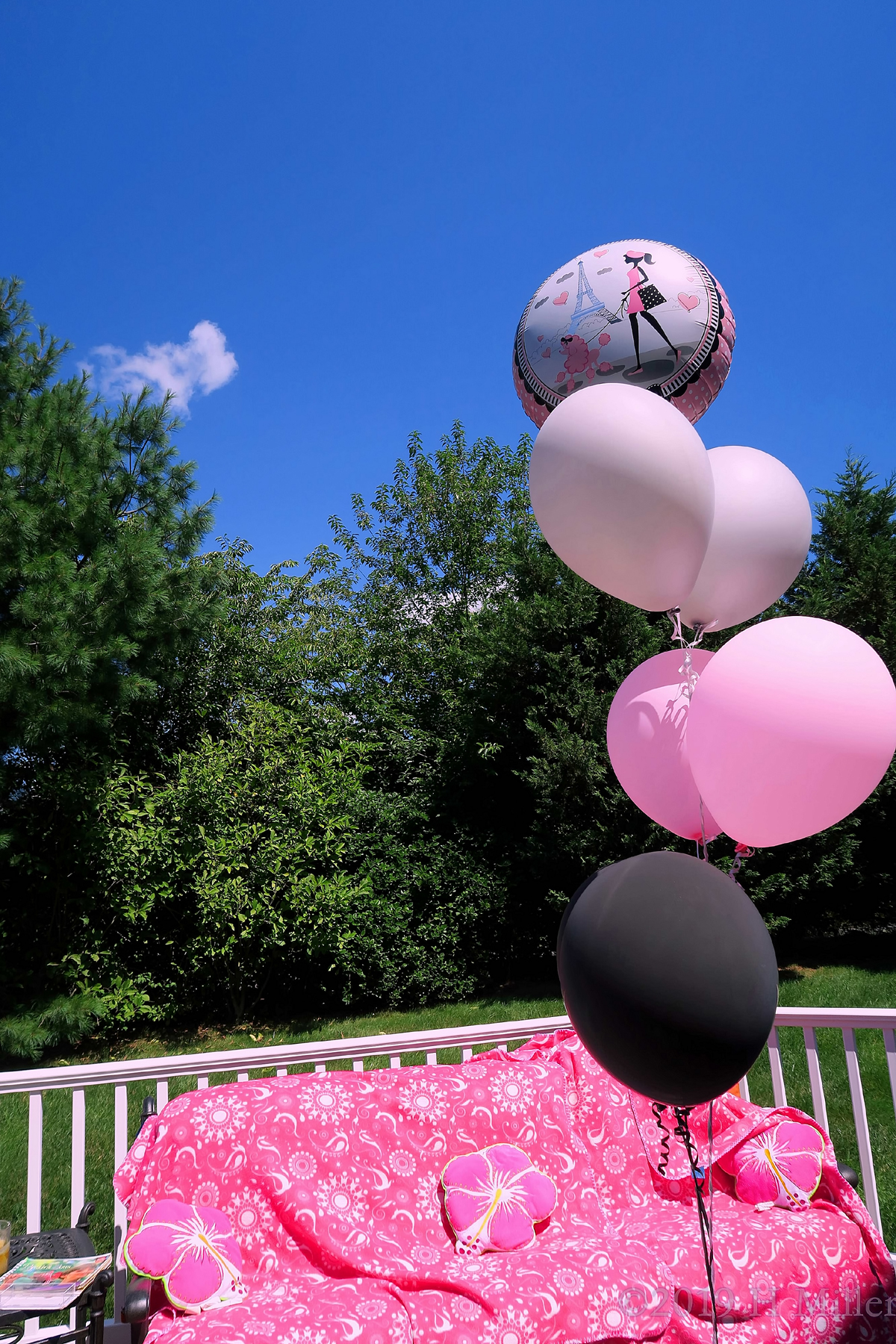 Birthday Pink And Gray Ballons 
