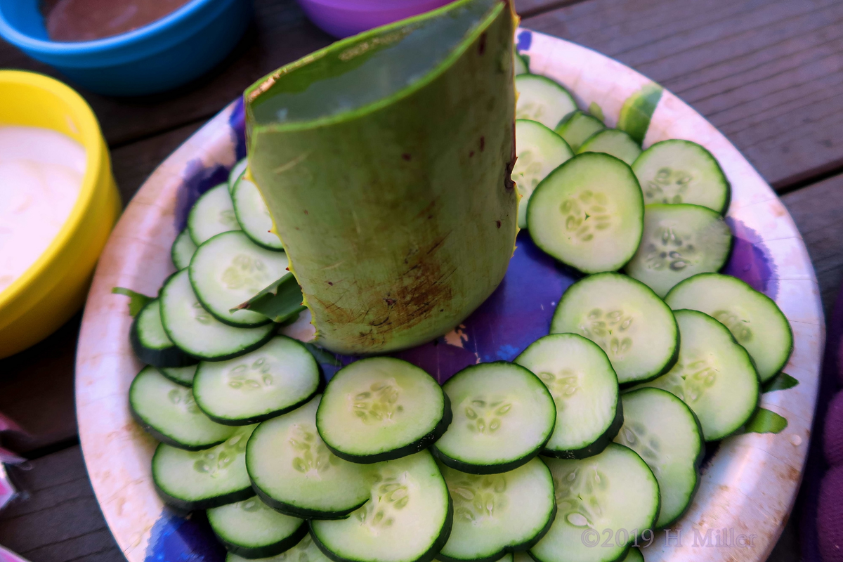 Cucumber And Aloe Slices 