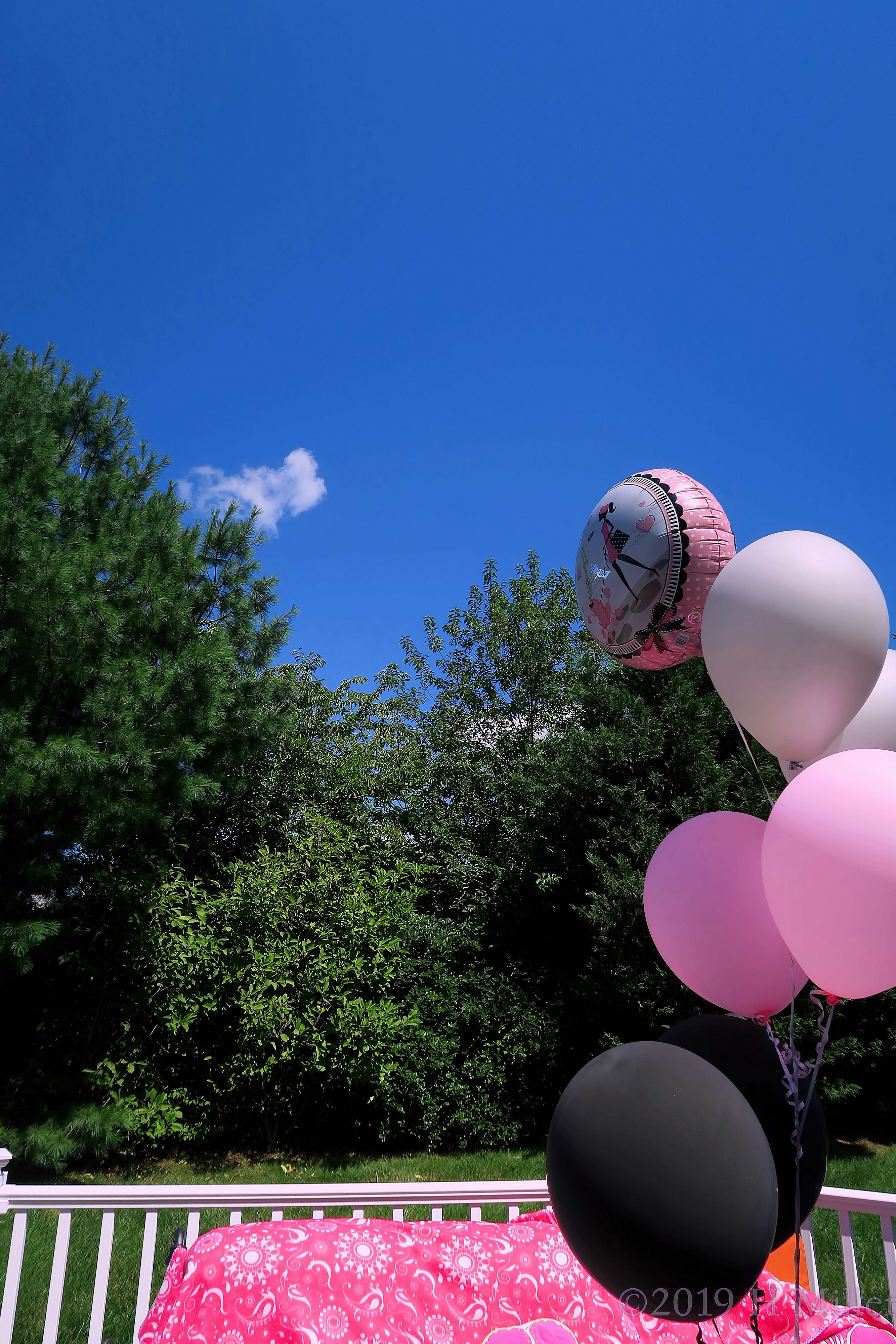 Girl Themed Birthday Party Decor Girl Themed Birthday Party Decor