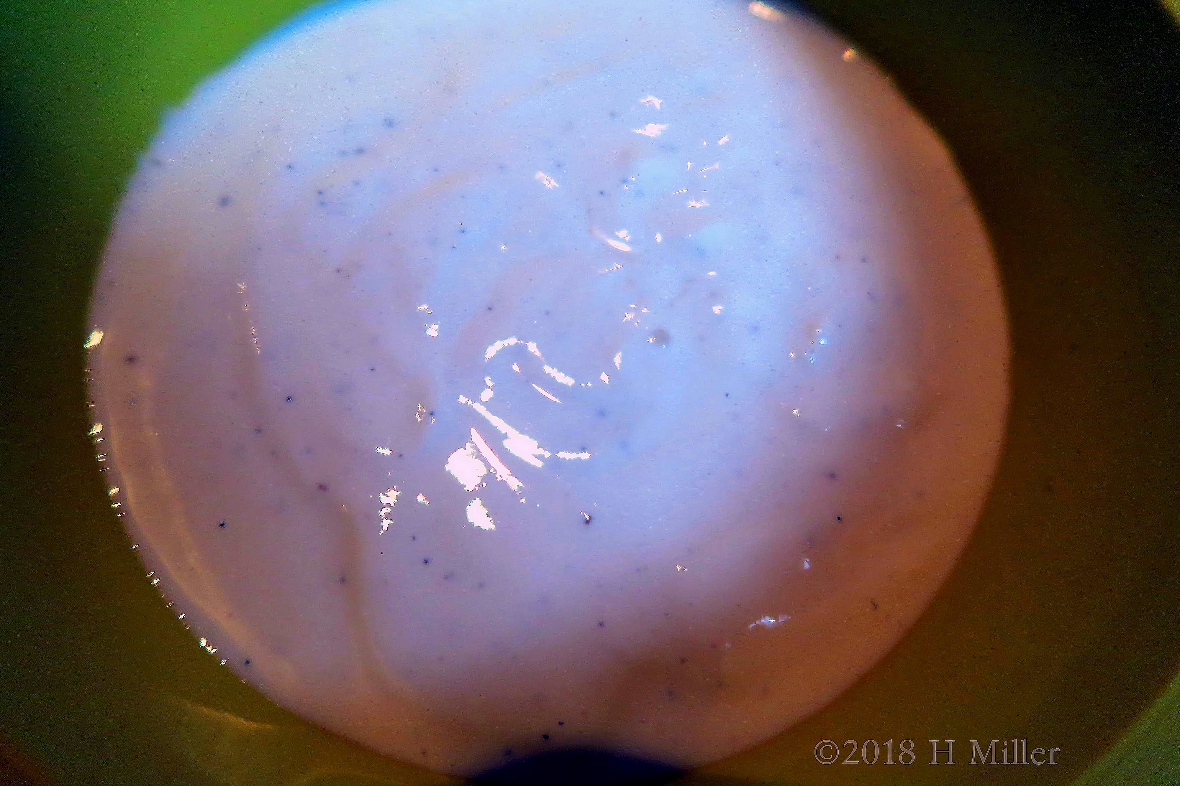 Bowl Of Blueberry Facial Masque For Kids! Bowl Of Blueberry Facial Masque For Kids!