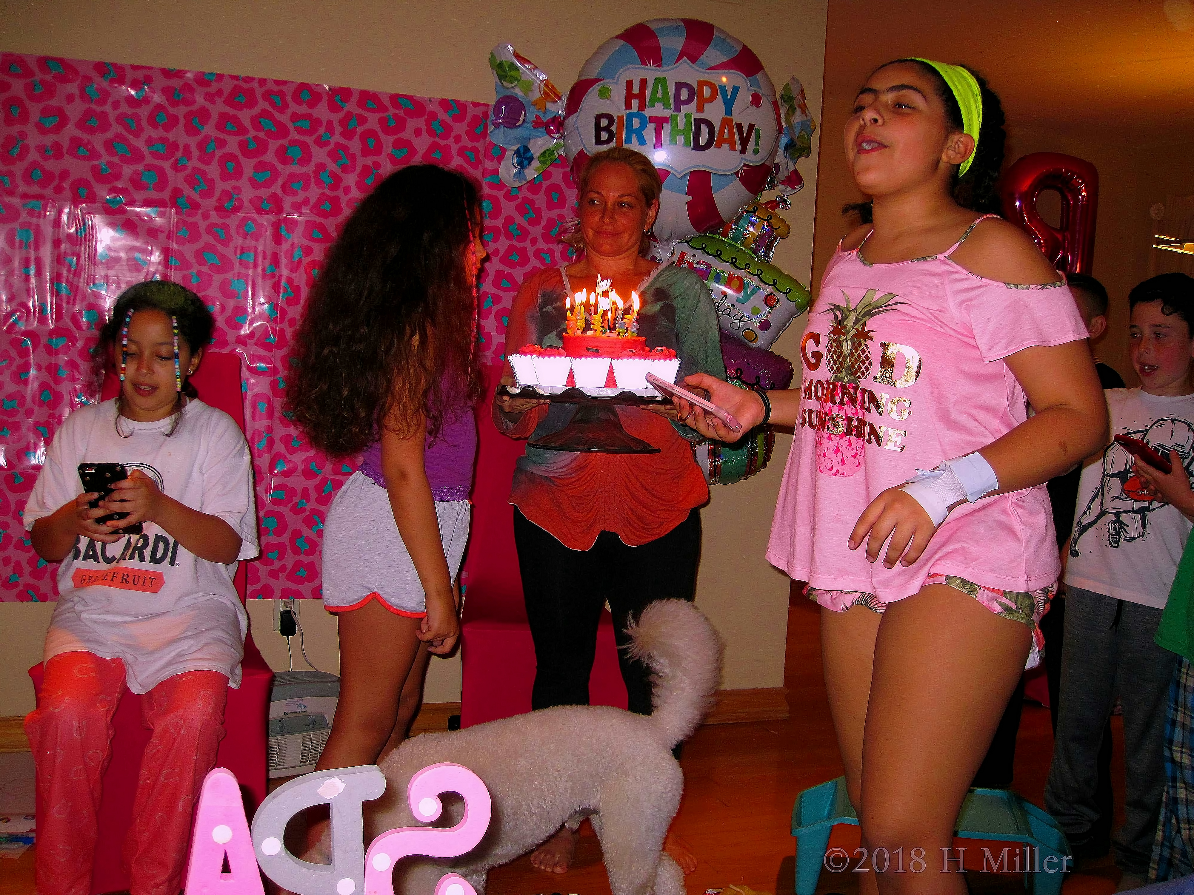 Cake With Candles Ready For The Birthday Girl! Cake With Candles Ready For The Birthday Girl!