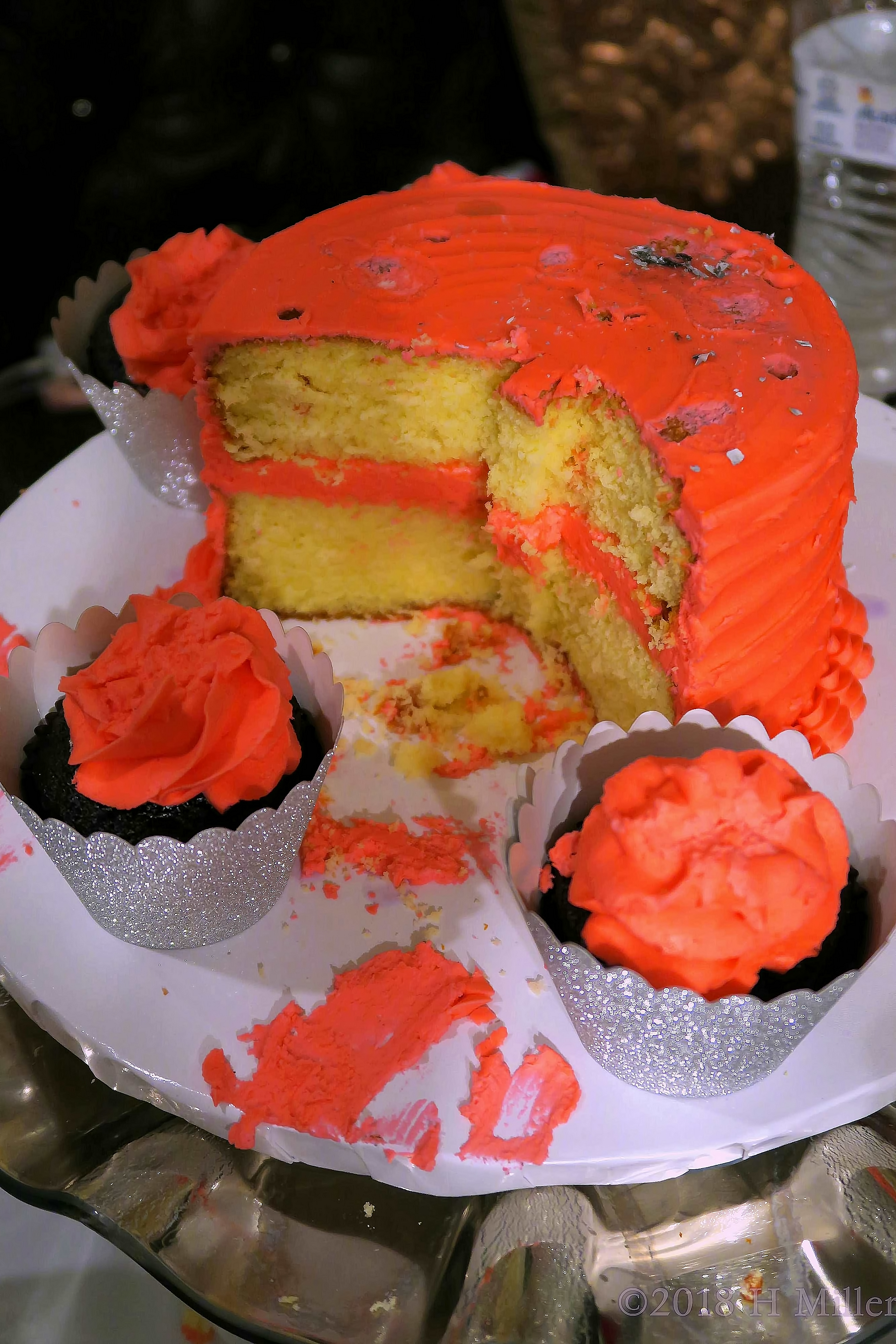 Delicious Cake Being Served For The Kids Party Guests! Delicious Cake Being Served For The Kids Party Guests!