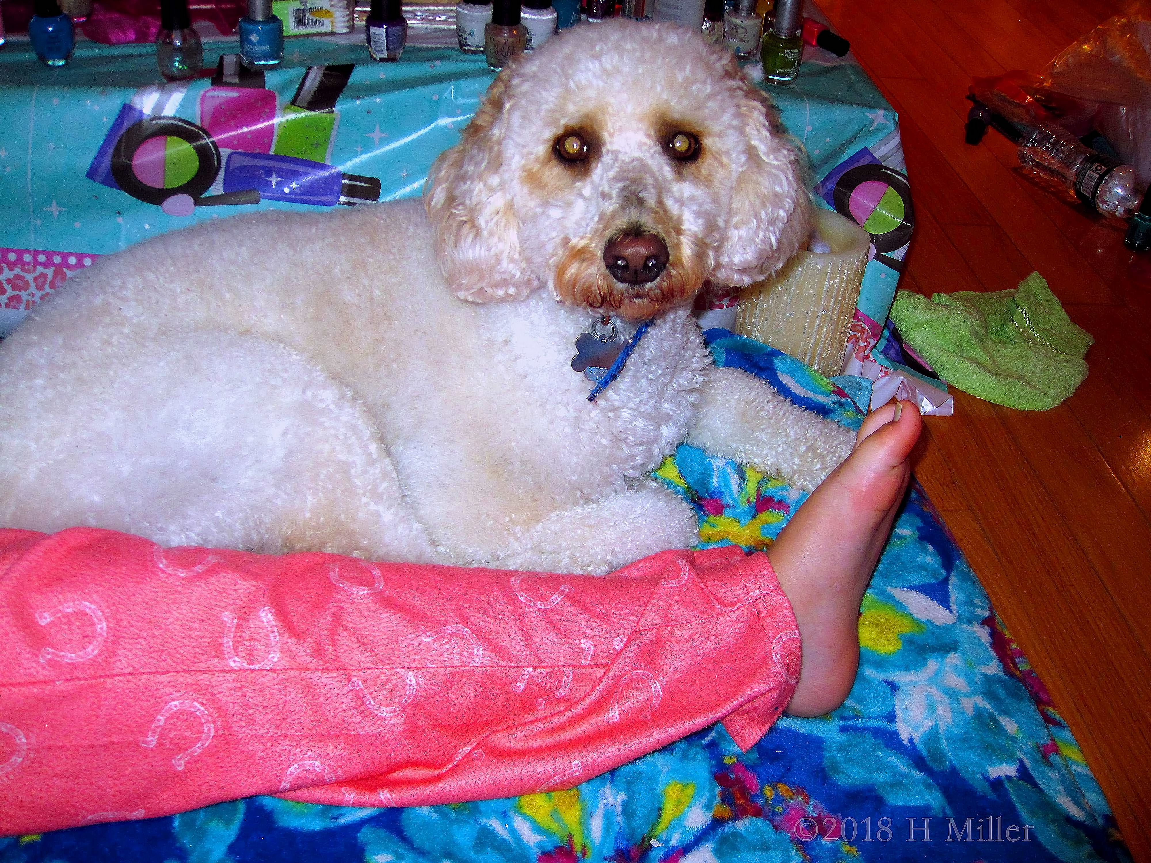 Rianna's Cuddly Dog Wants To Join The Kids Party Fun! Rianna's Cuddly Dog Wants To Join The Kids Party Fun!