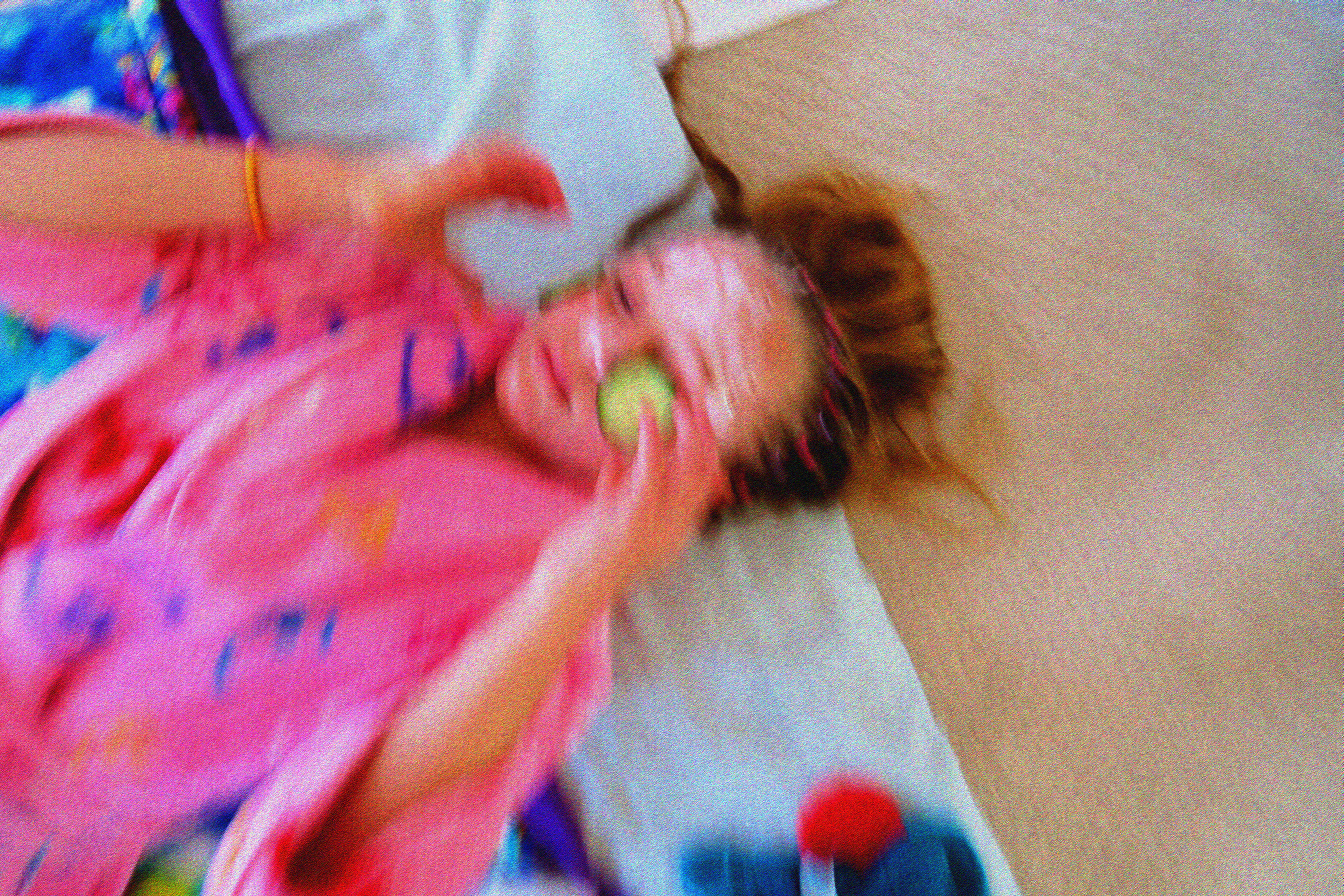 Riley Adjusting A Cuke That's Falling! Riley Adjusting A Cuke That's Falling!