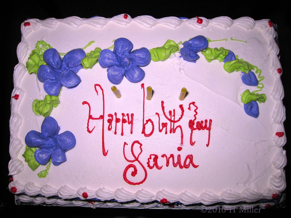 Sania's Birthday Cake 