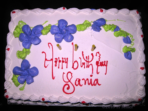 Sania's Birthday Cake Sania's Birthday Cake