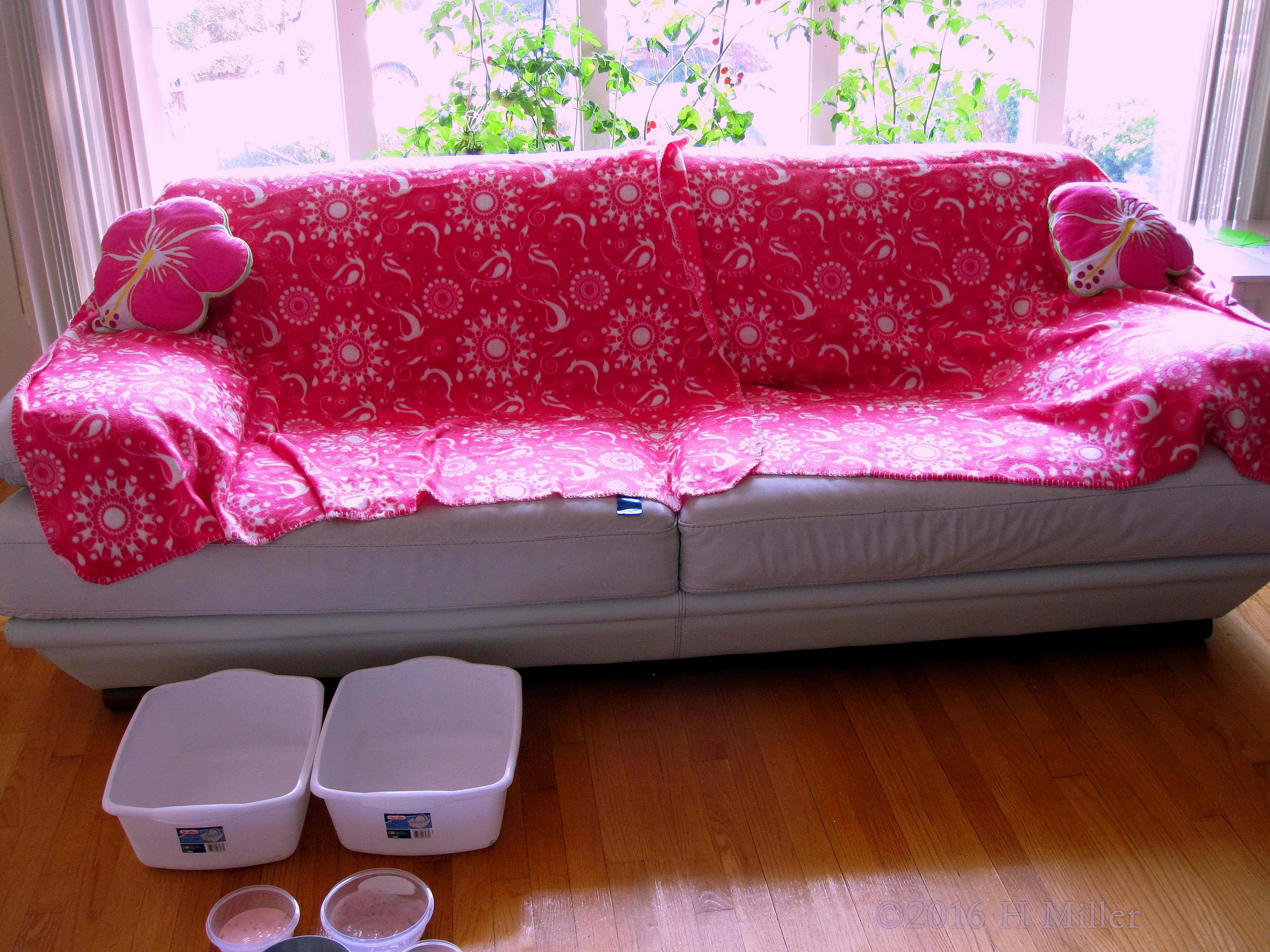 Comfy Spa Couch Comfy Spa Couch