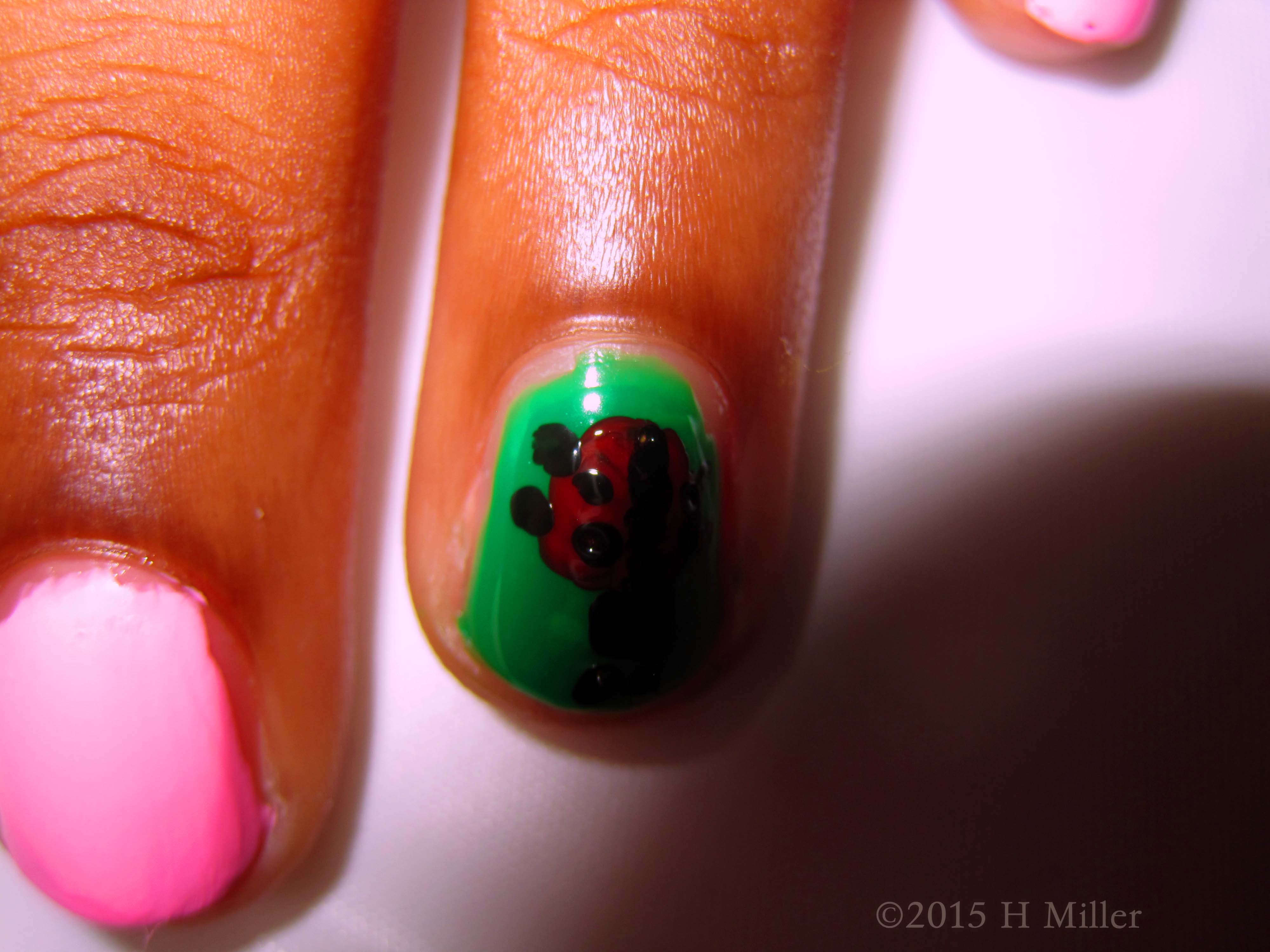 You Can Tell Its Age By Its Spots, How Old Is This One! You Can Tell Its Age By Its Spots, How Old Is This One!