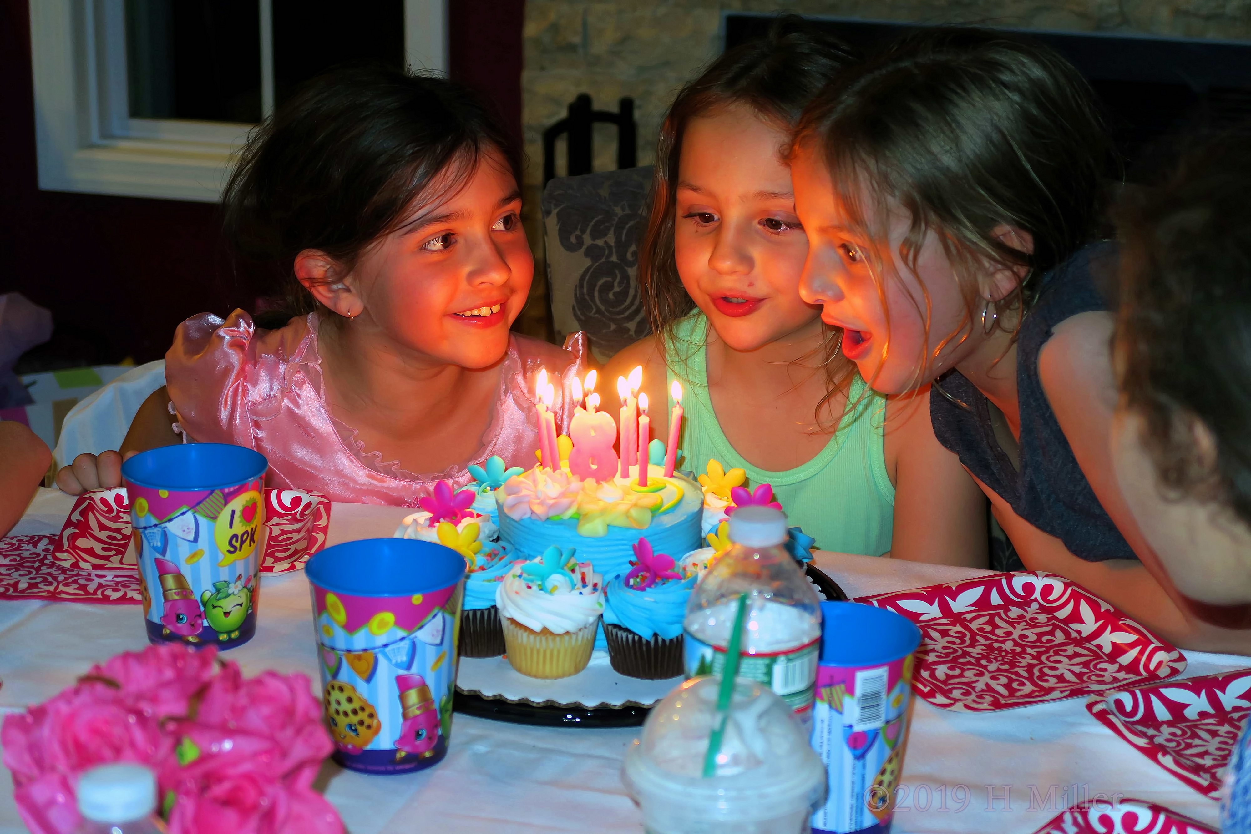 It's Time To Blow Out The Birthday Candles It's Time To Blow Out The Birthday Candles