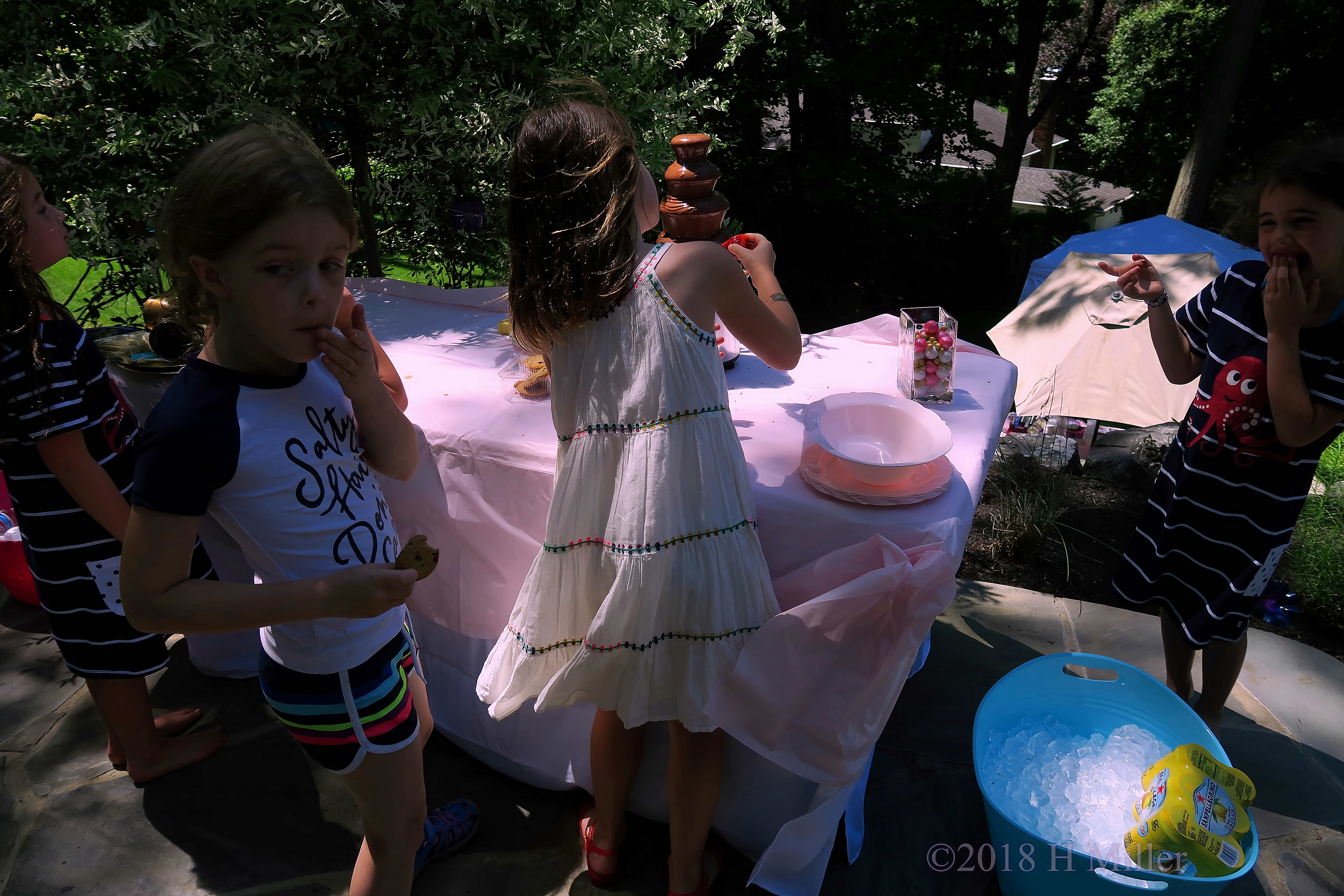 Guests Enjoying The Chocolate Fountain 